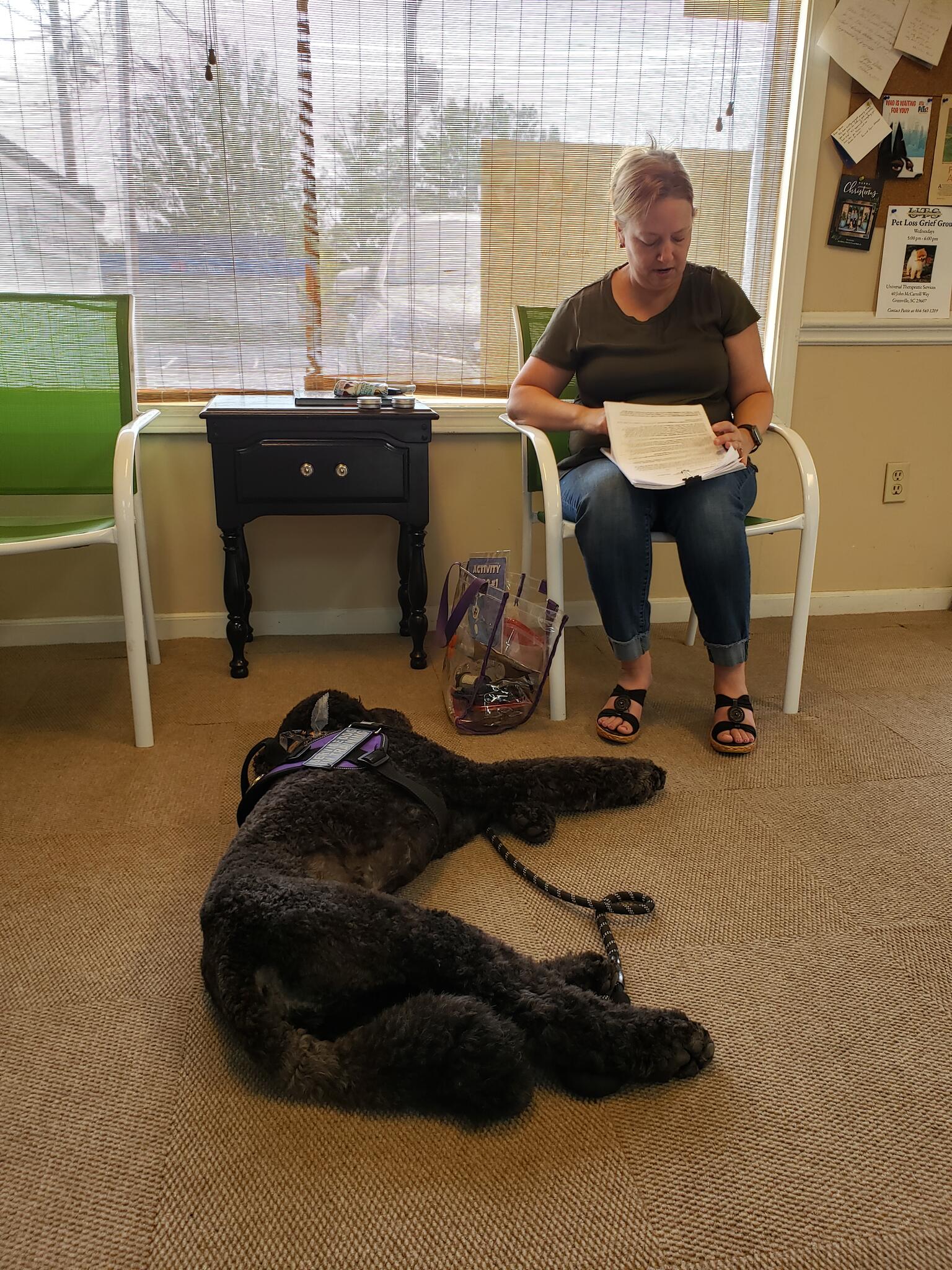 The Puppy Nanny Simpsonville