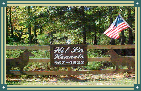 HI-Lo Kennel LLC Simpsonville