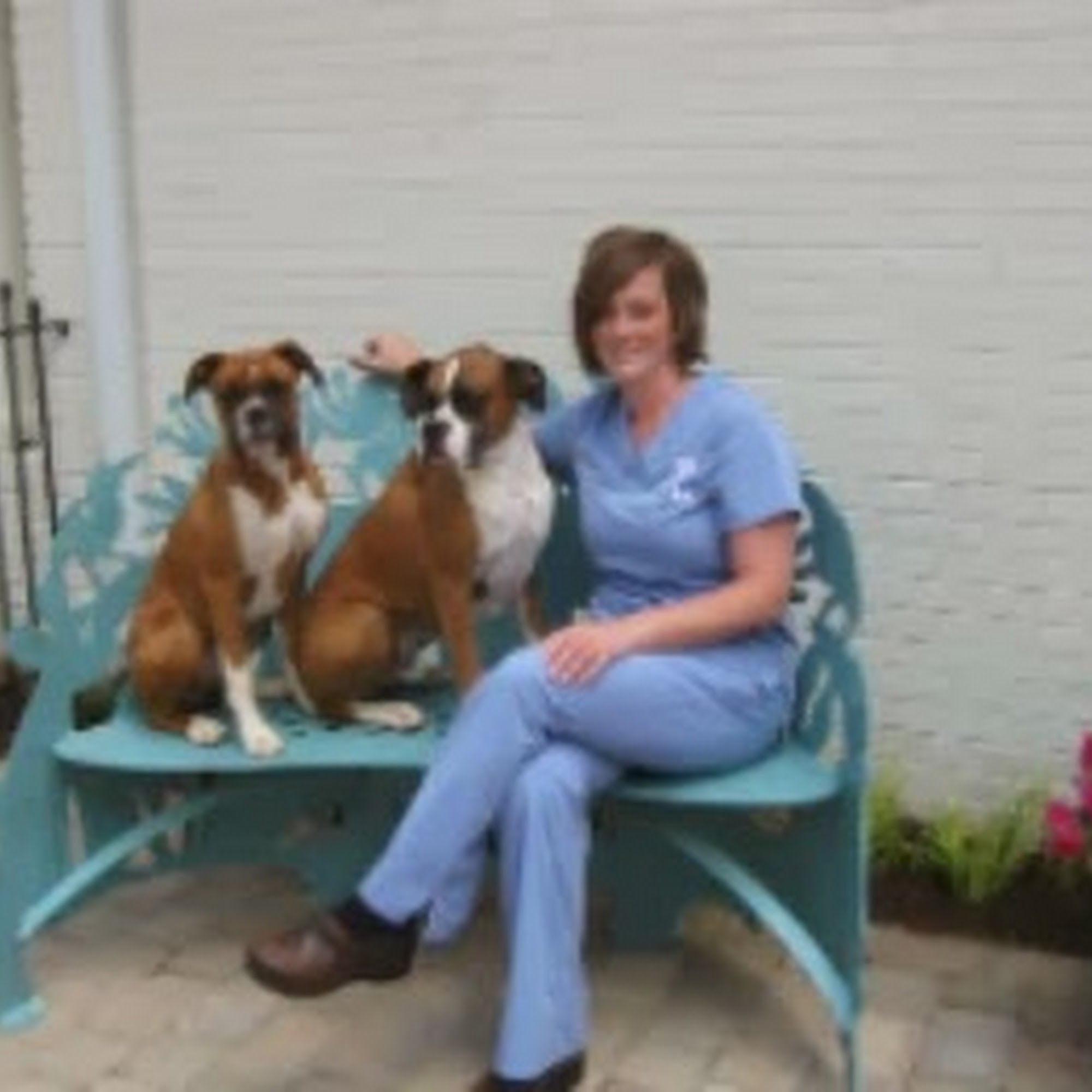 Palmetto Animal Clinic Spartanburg