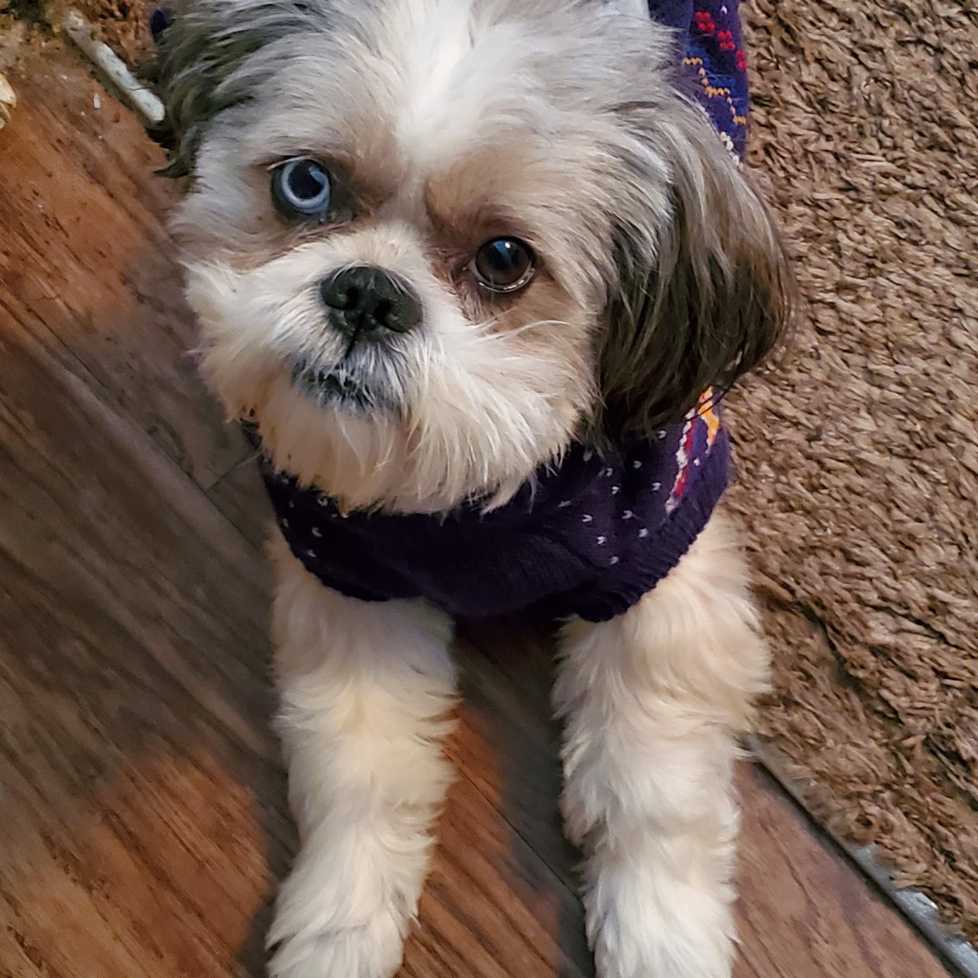 Bell Farm Veterinary Services LLC Spartanburg