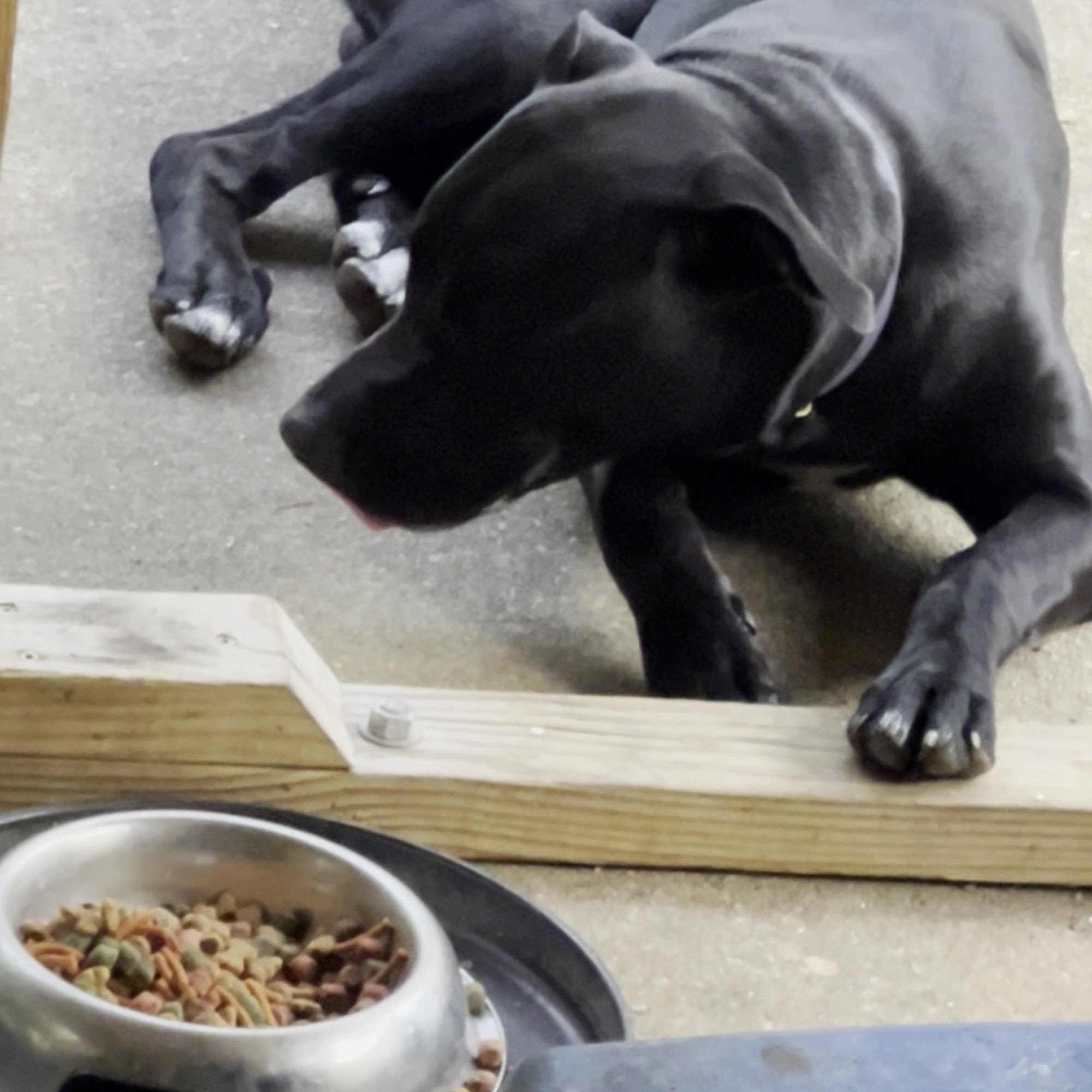 Smith Animal Hospital Spartanburg