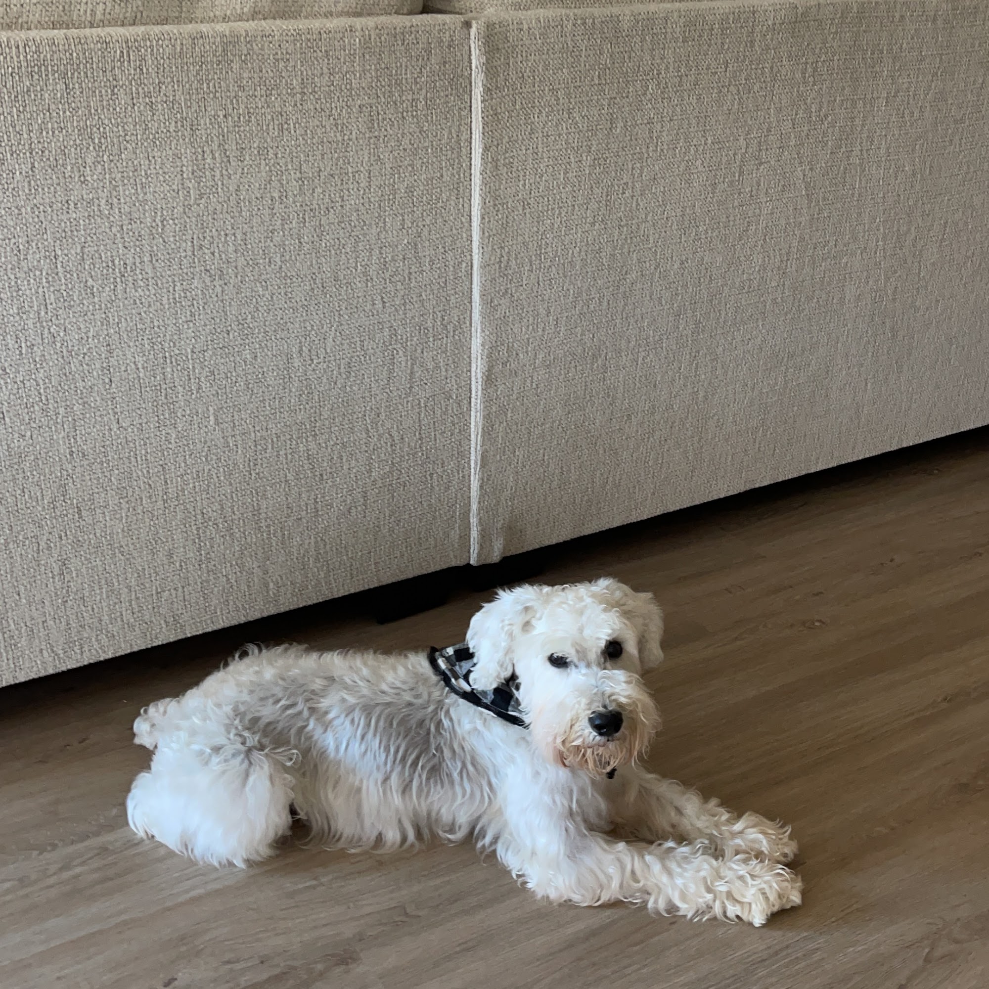 Allcare Kennel Spartanburg