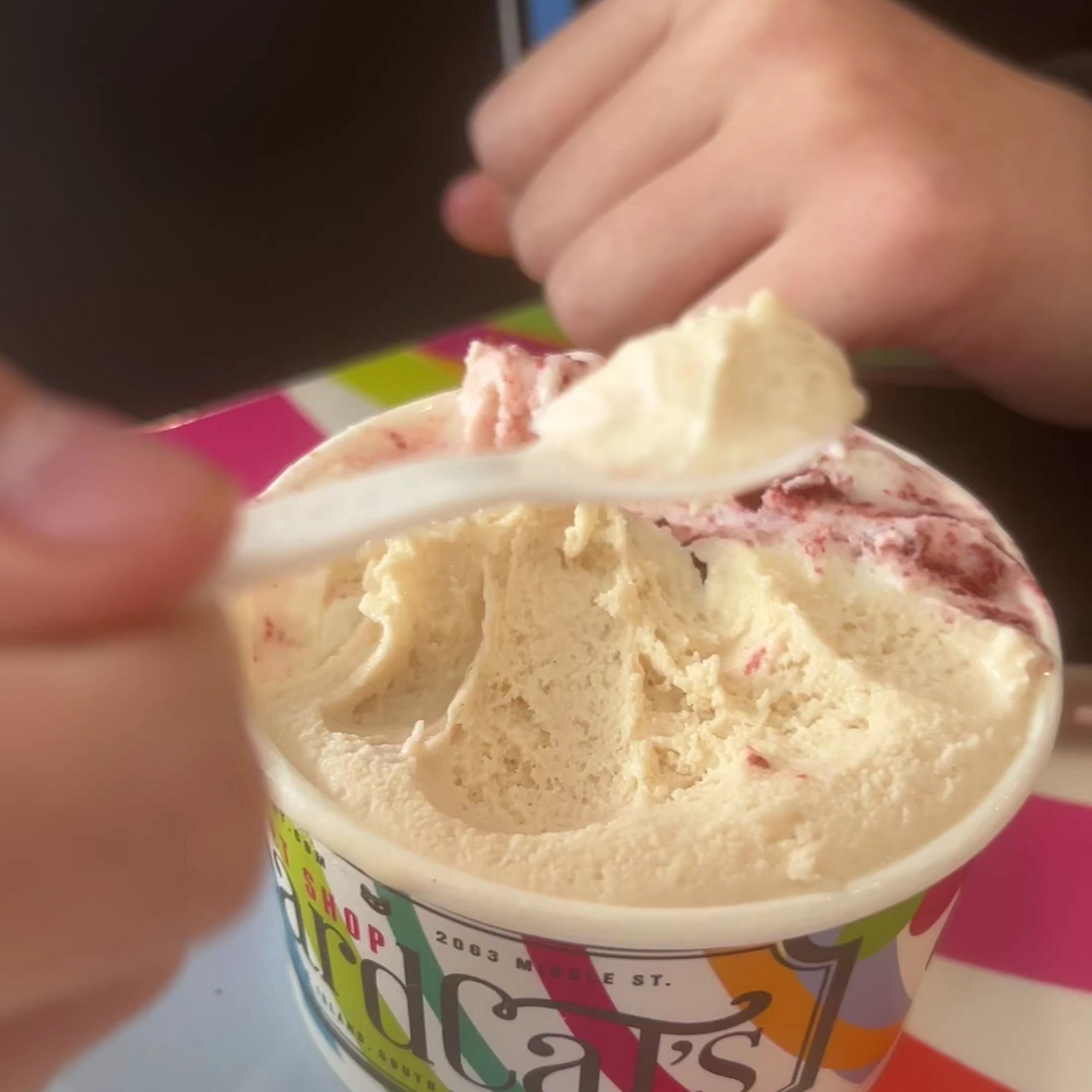 Beardcat's Sweet Shop Sullivan's Island