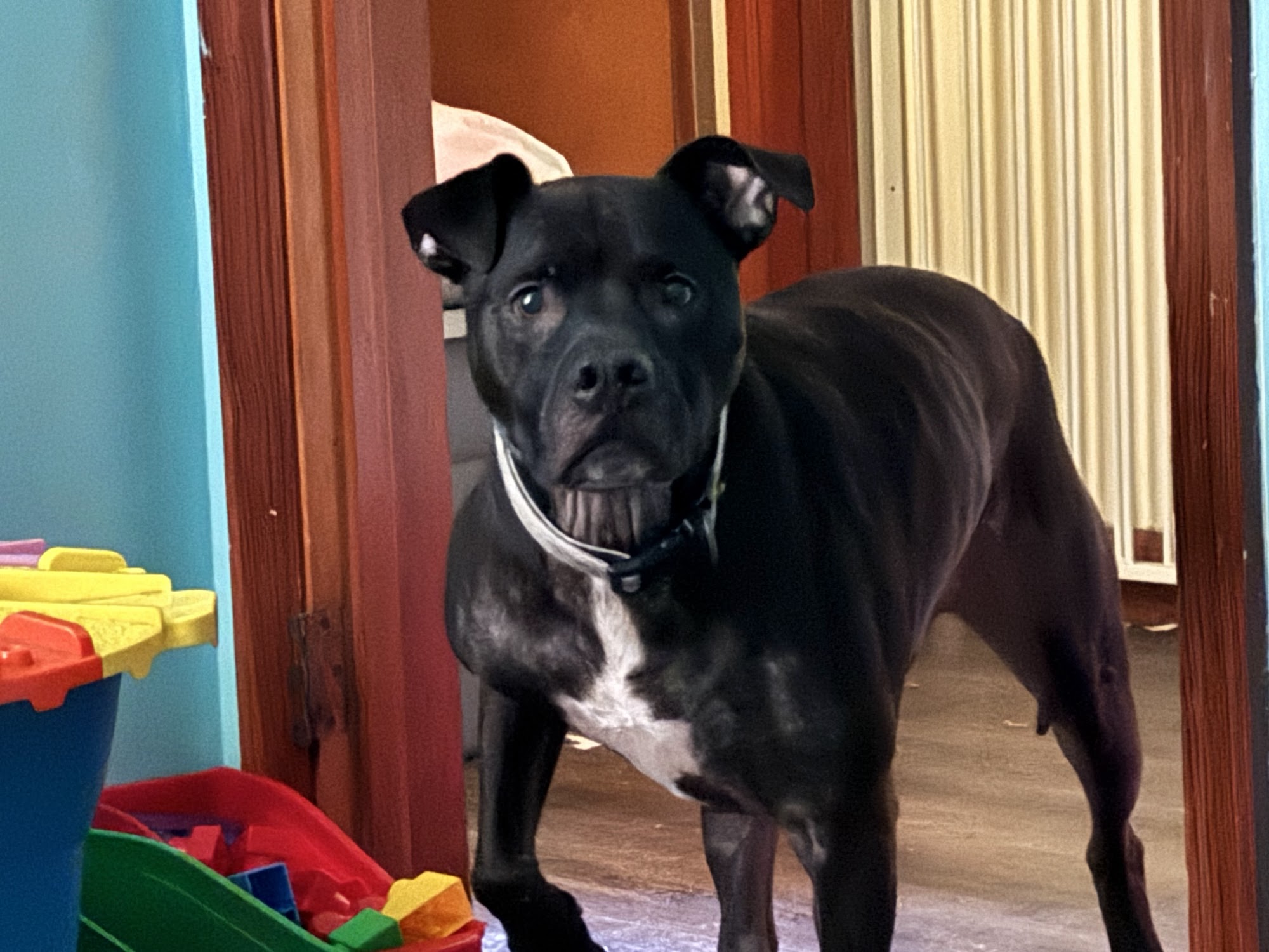 Stukes Heating & Air Conditioning Summerton