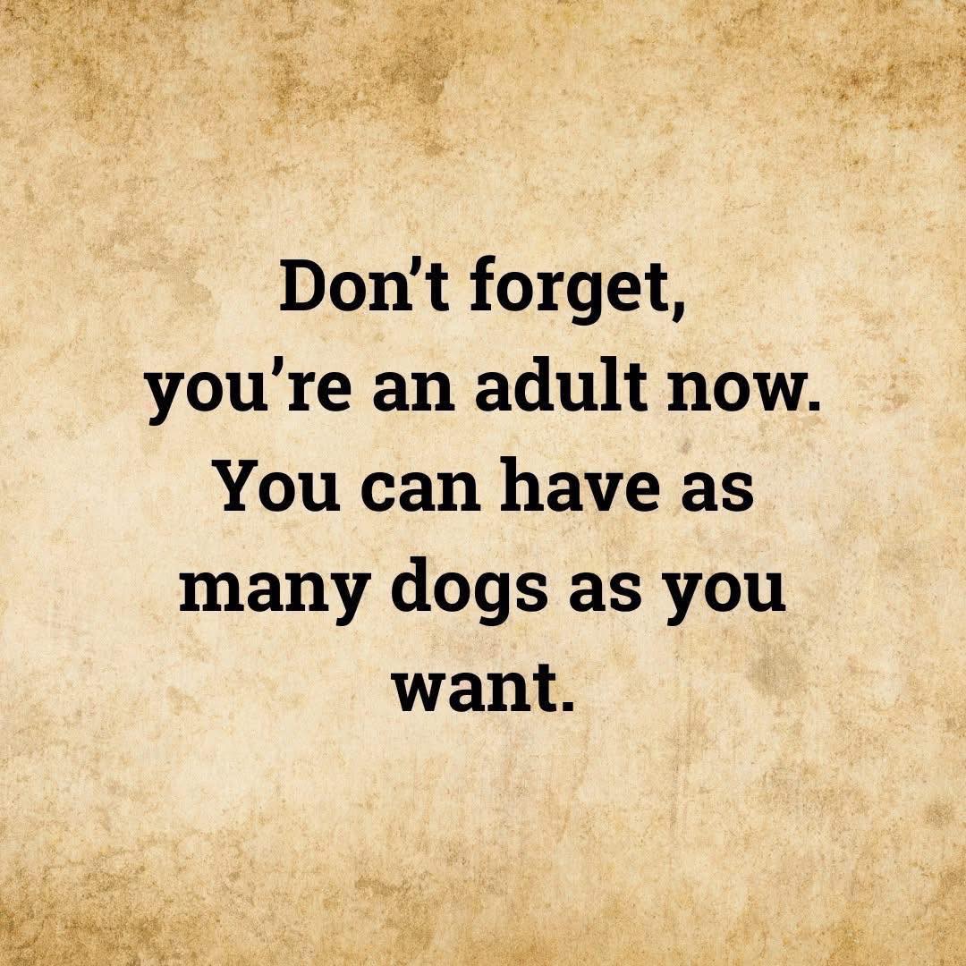 Wigglebutt Grooming Summerville