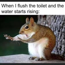 T & N Septic Tank Co