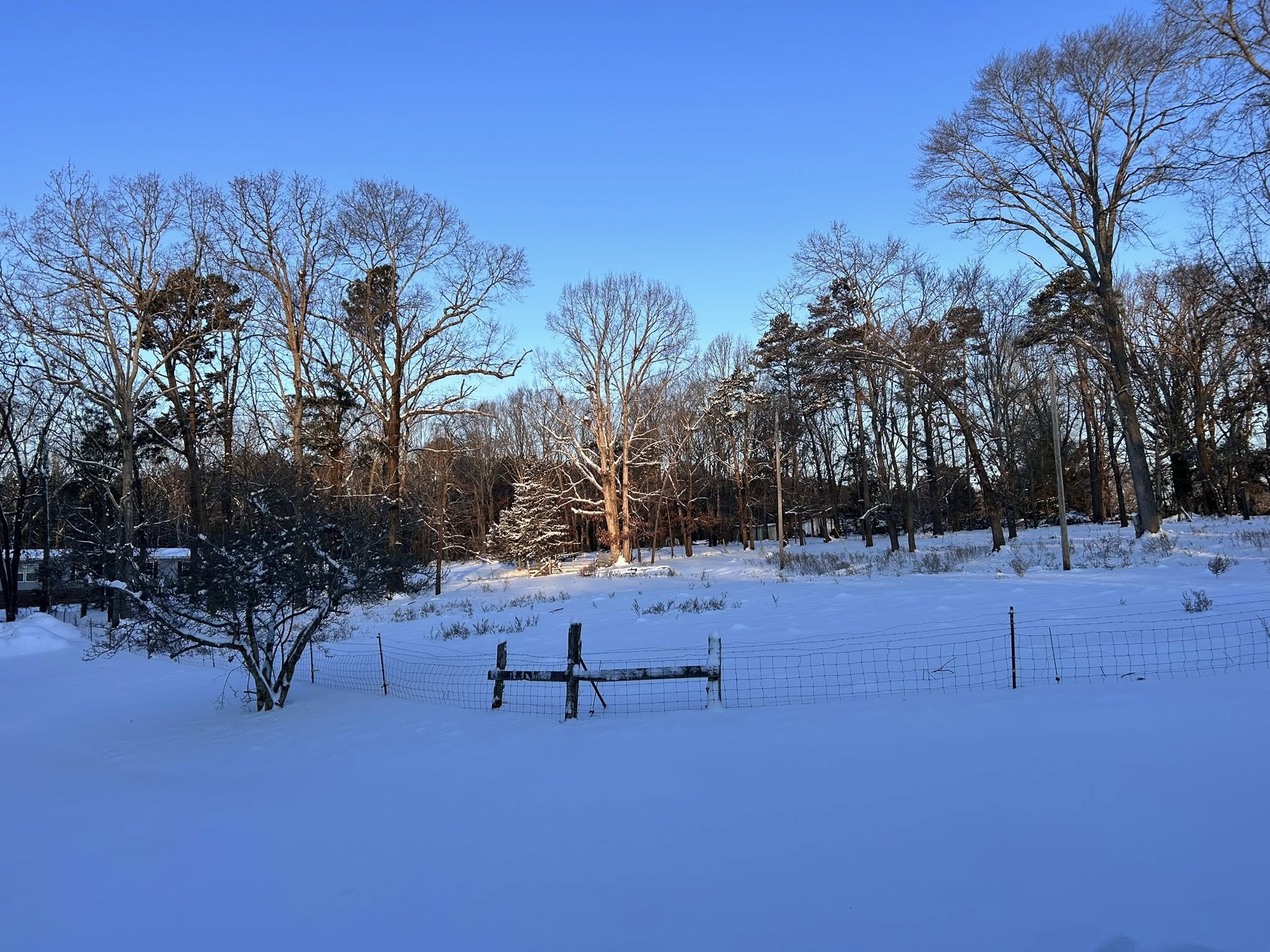 Carson Moore Photography