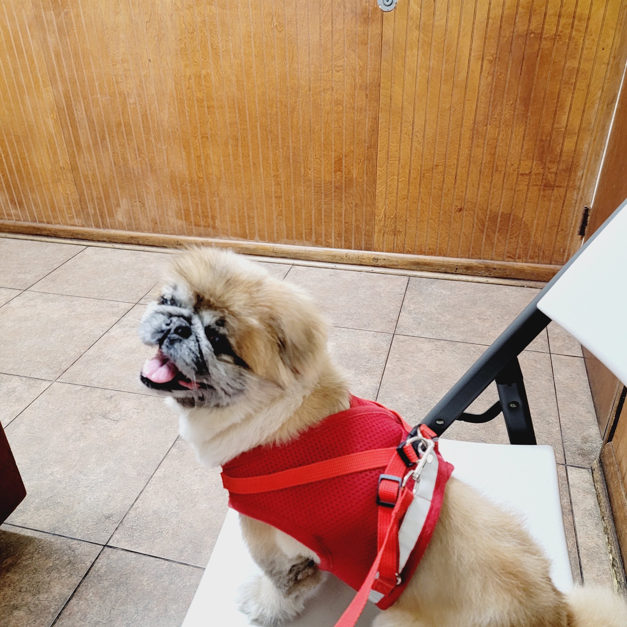 Ark Animal Hospital Surfside Beach