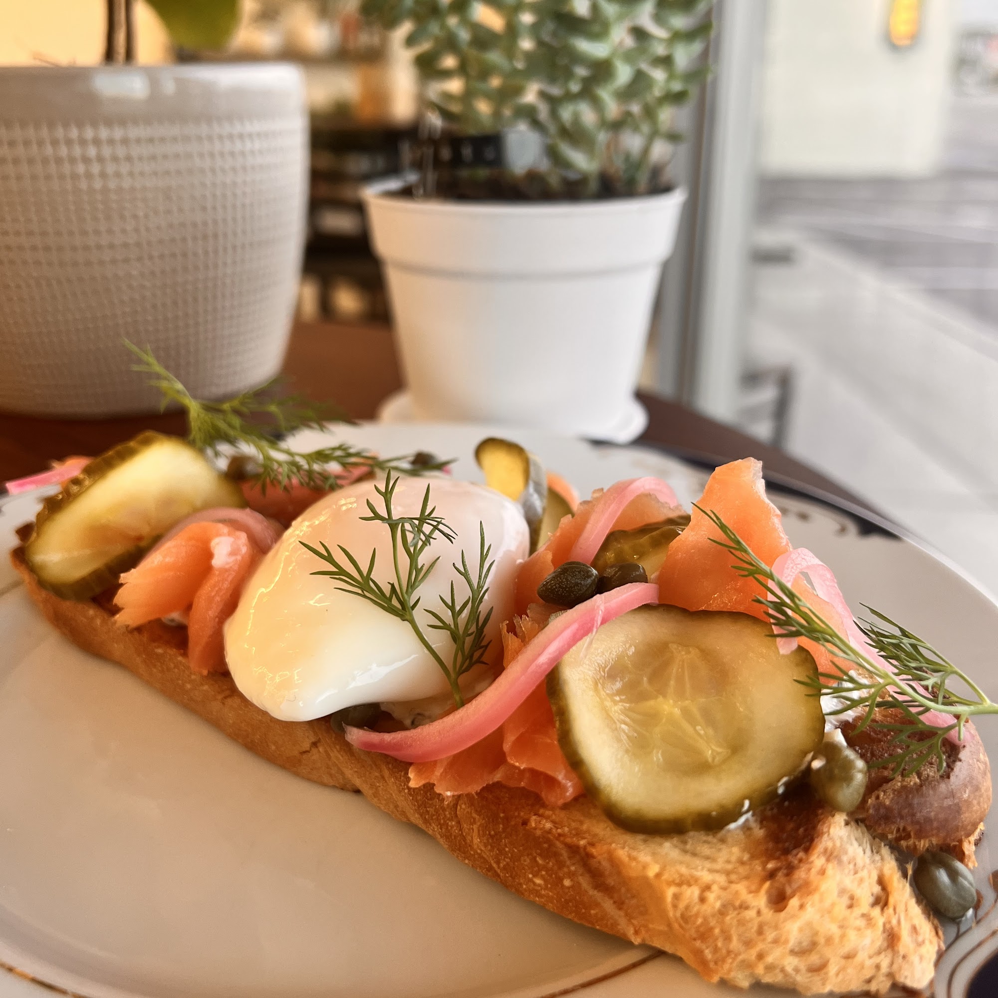 Milk & Honey Coffee Cafe Surfside Beach