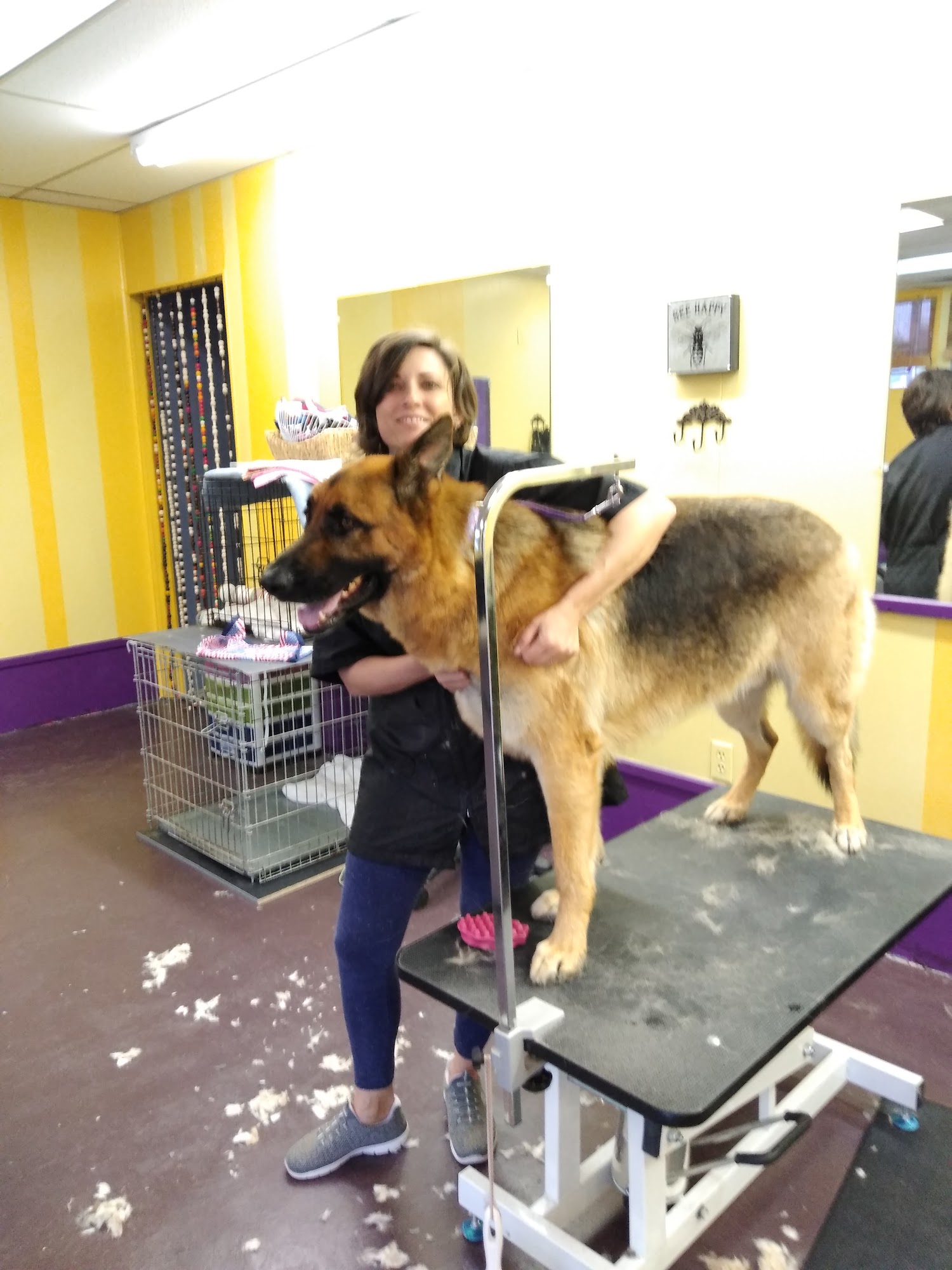 Sunnyside Grooming Salon Taylors