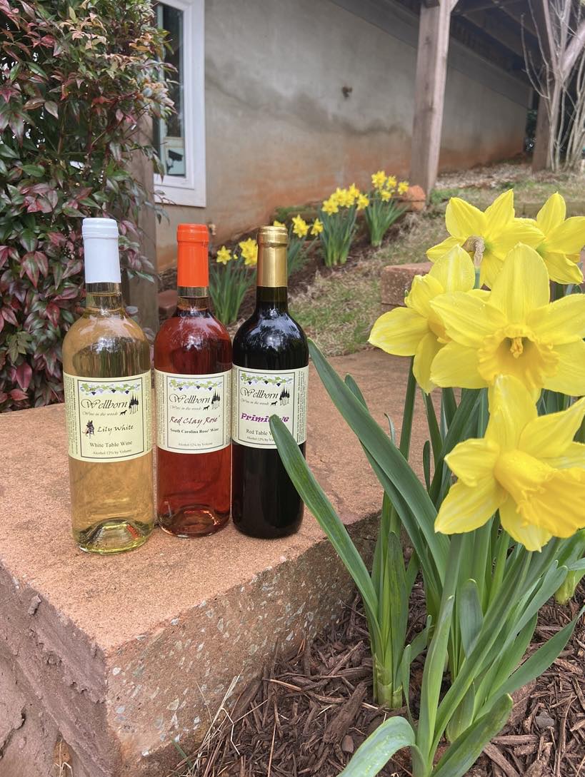 Wellborn Winery Travelers Rest