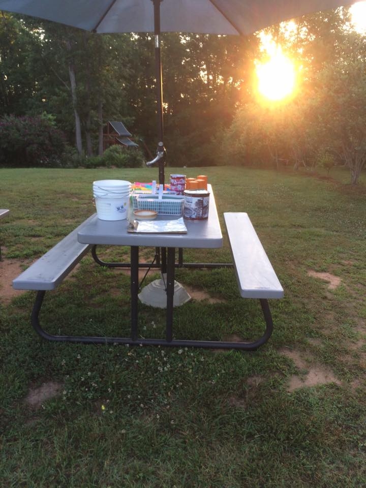 Blueberry Hill Travelers Rest Travelers Rest