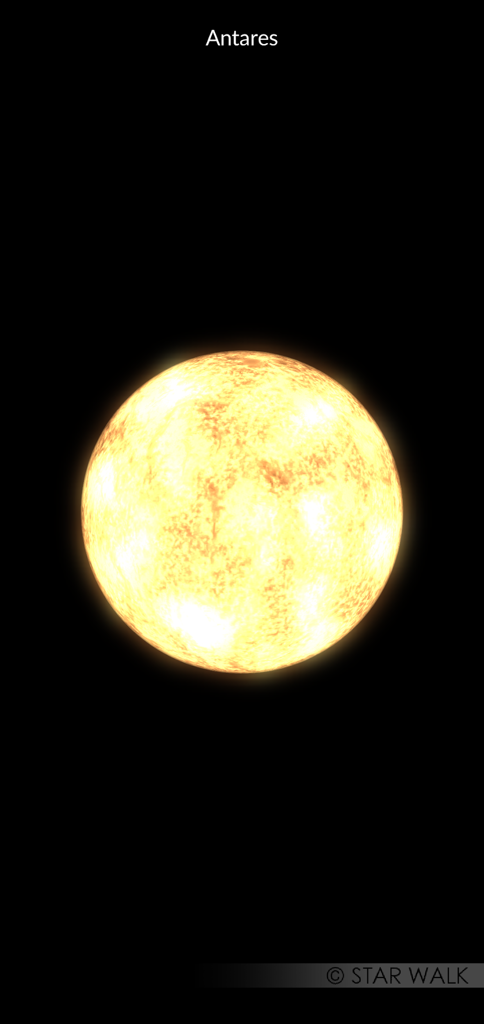 D and D Consultants LLP