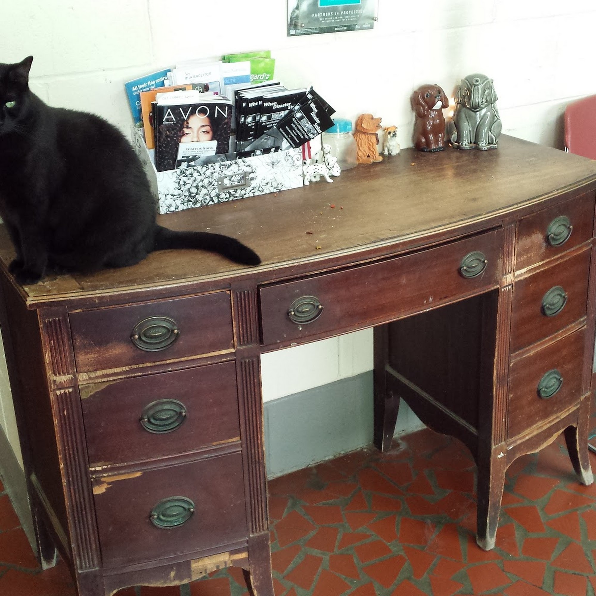 C J Deloach Jr Veterinary Hospital Walterboro