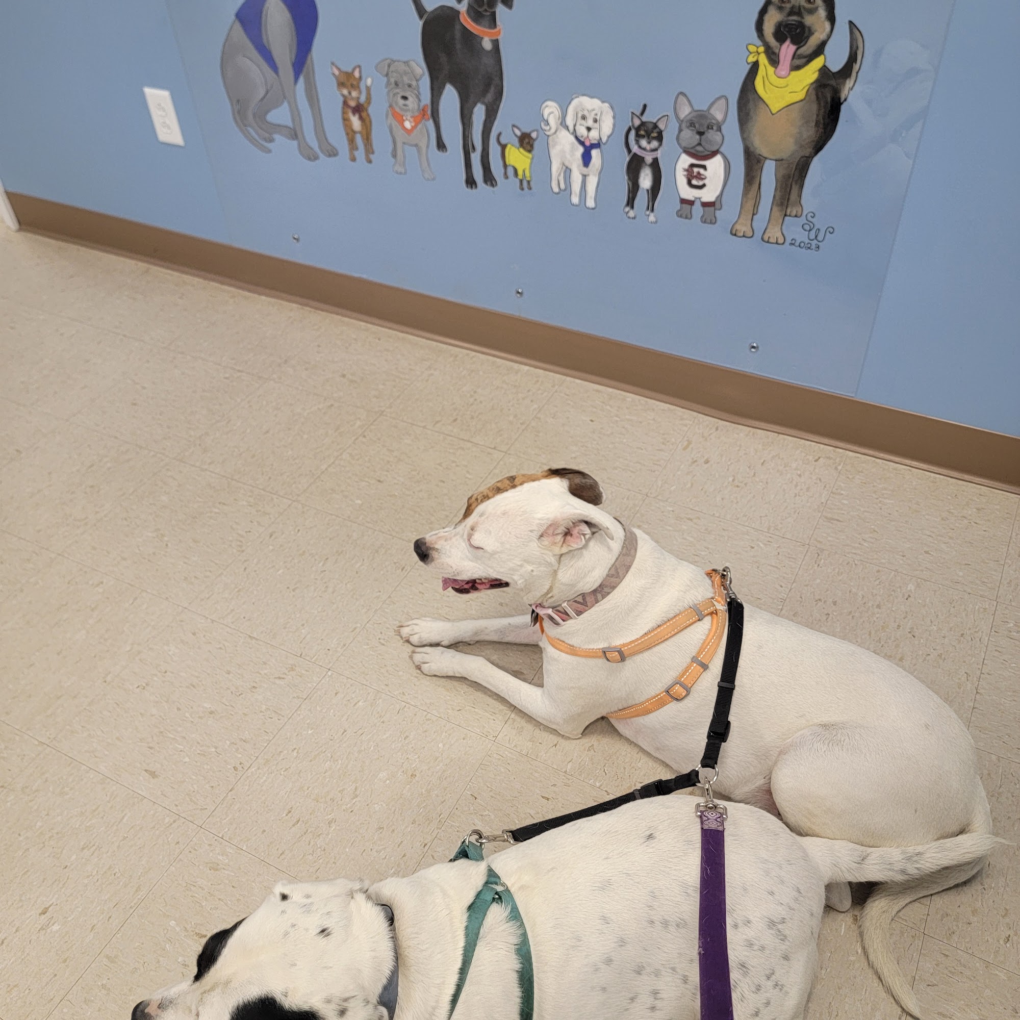 Shepherd's Care Veterinary Services, LLC Walterboro