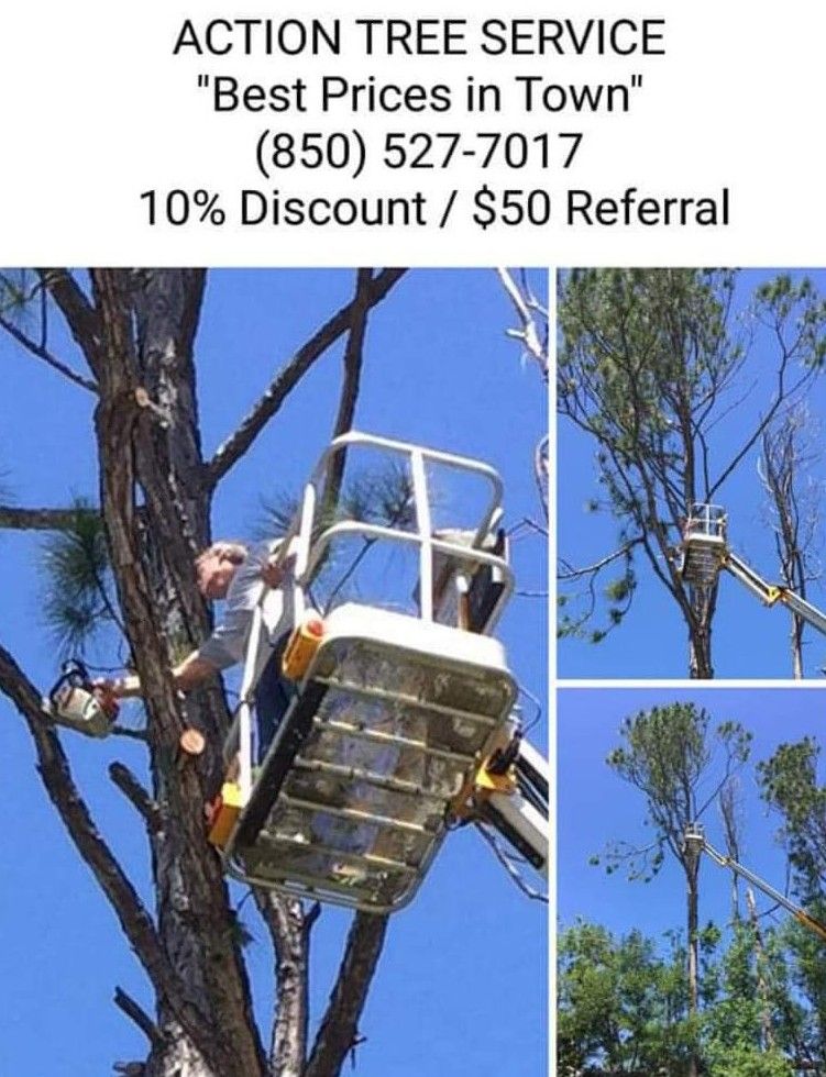 Action Tree Services
