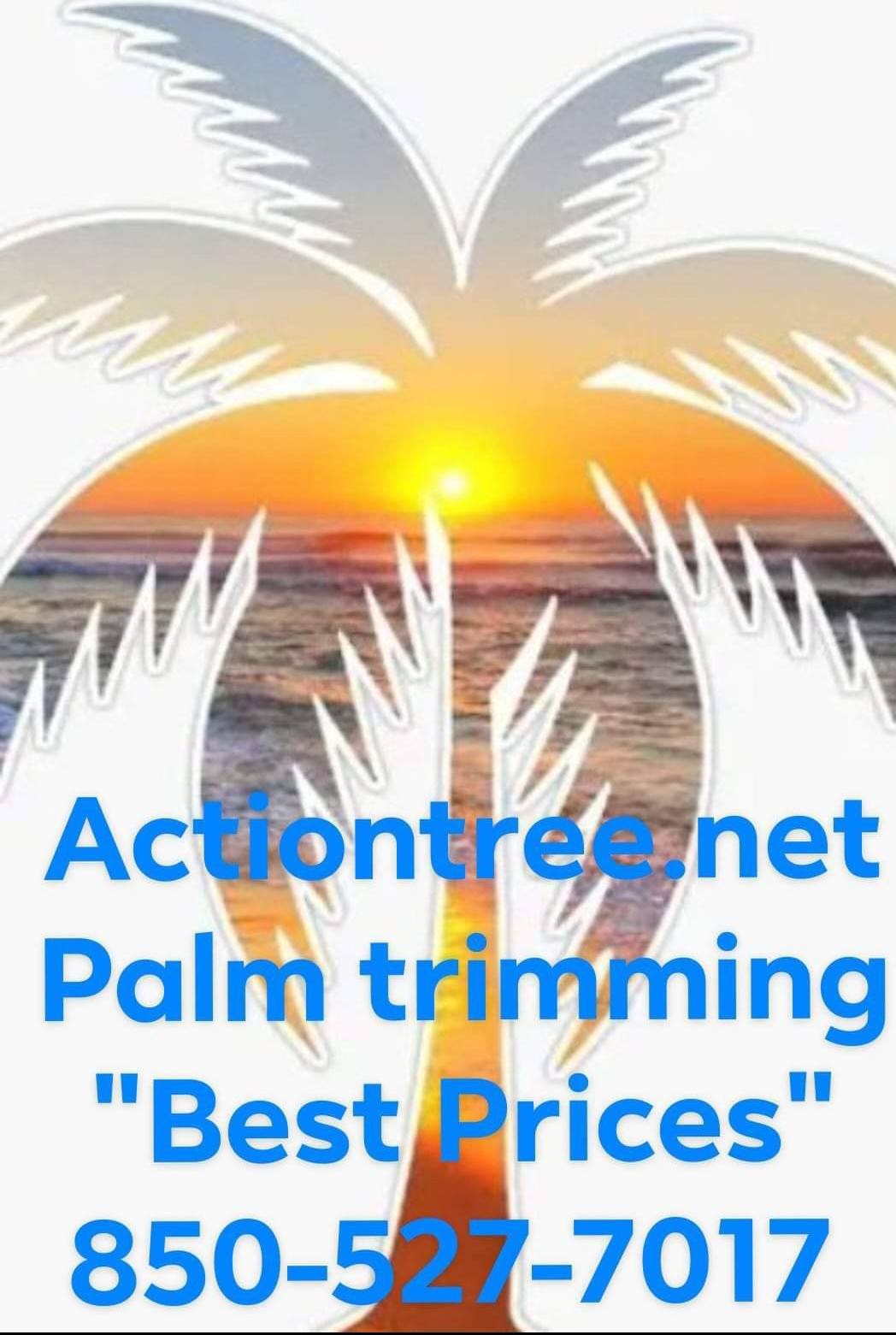 Action Tree Services