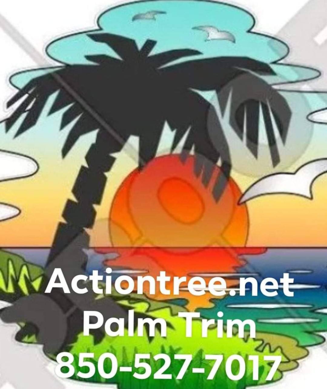 Action Tree Services 91 Hidden Valley Rd, Ware Shoals South Carolina 29692