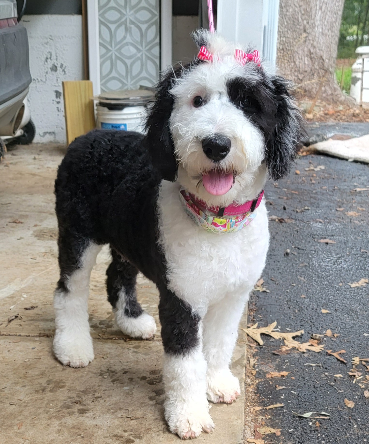 The Groom Room Williamston