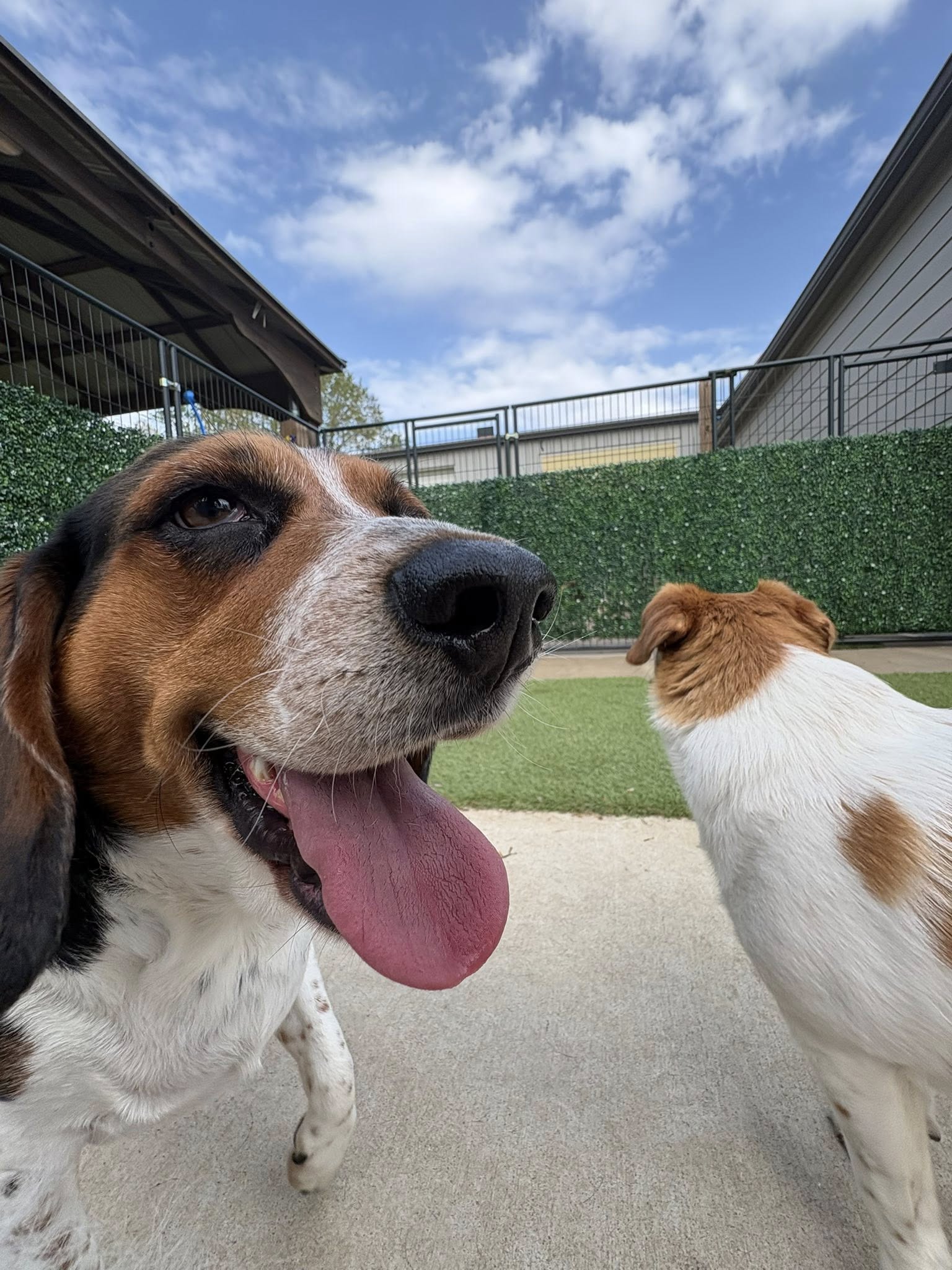Pet Lodge & Spa of Reidville Woodruff