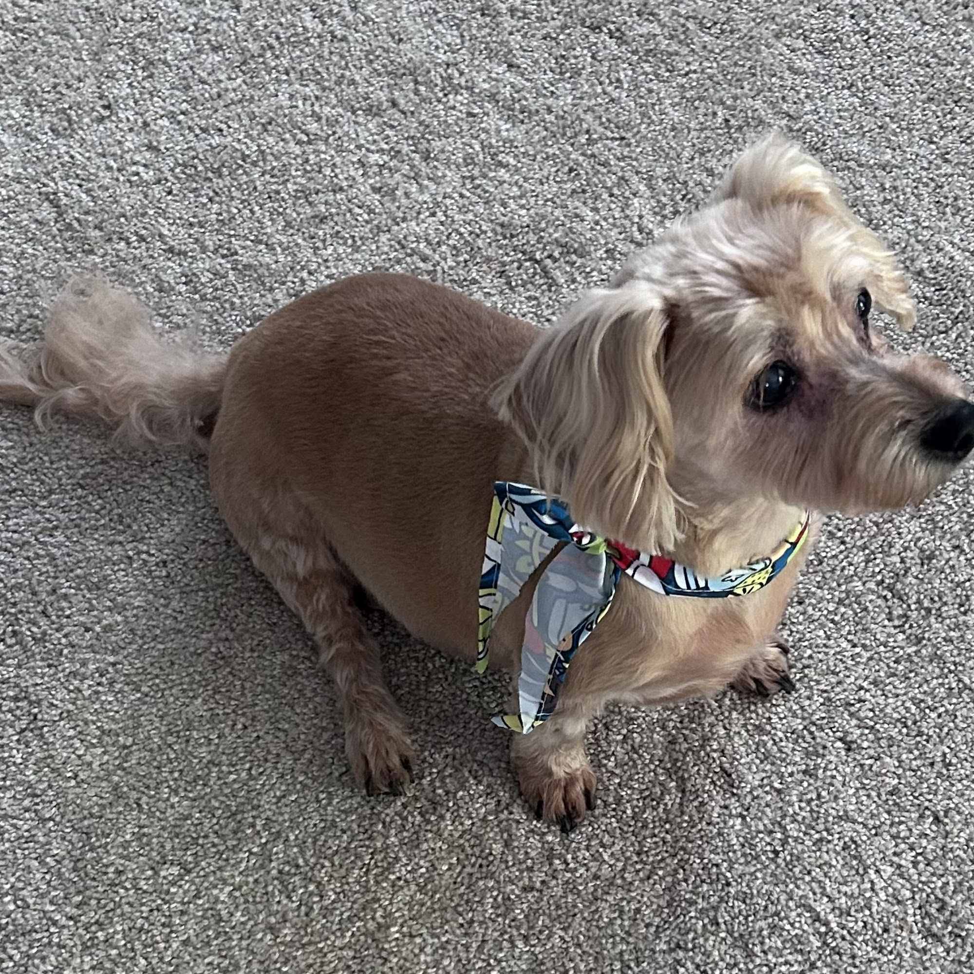 The Groom Station Woodruff