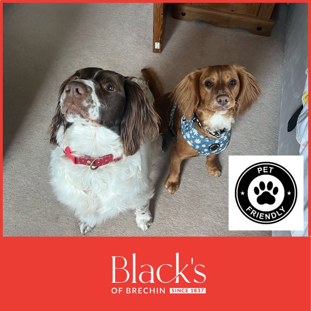 Black's Furnishers Brechin