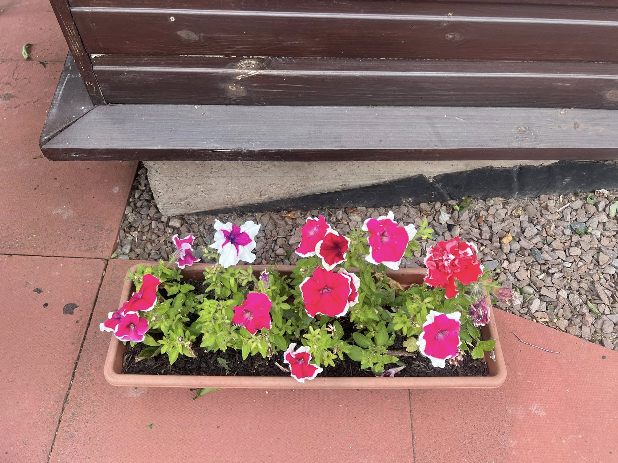 Lothian Cat Rescue