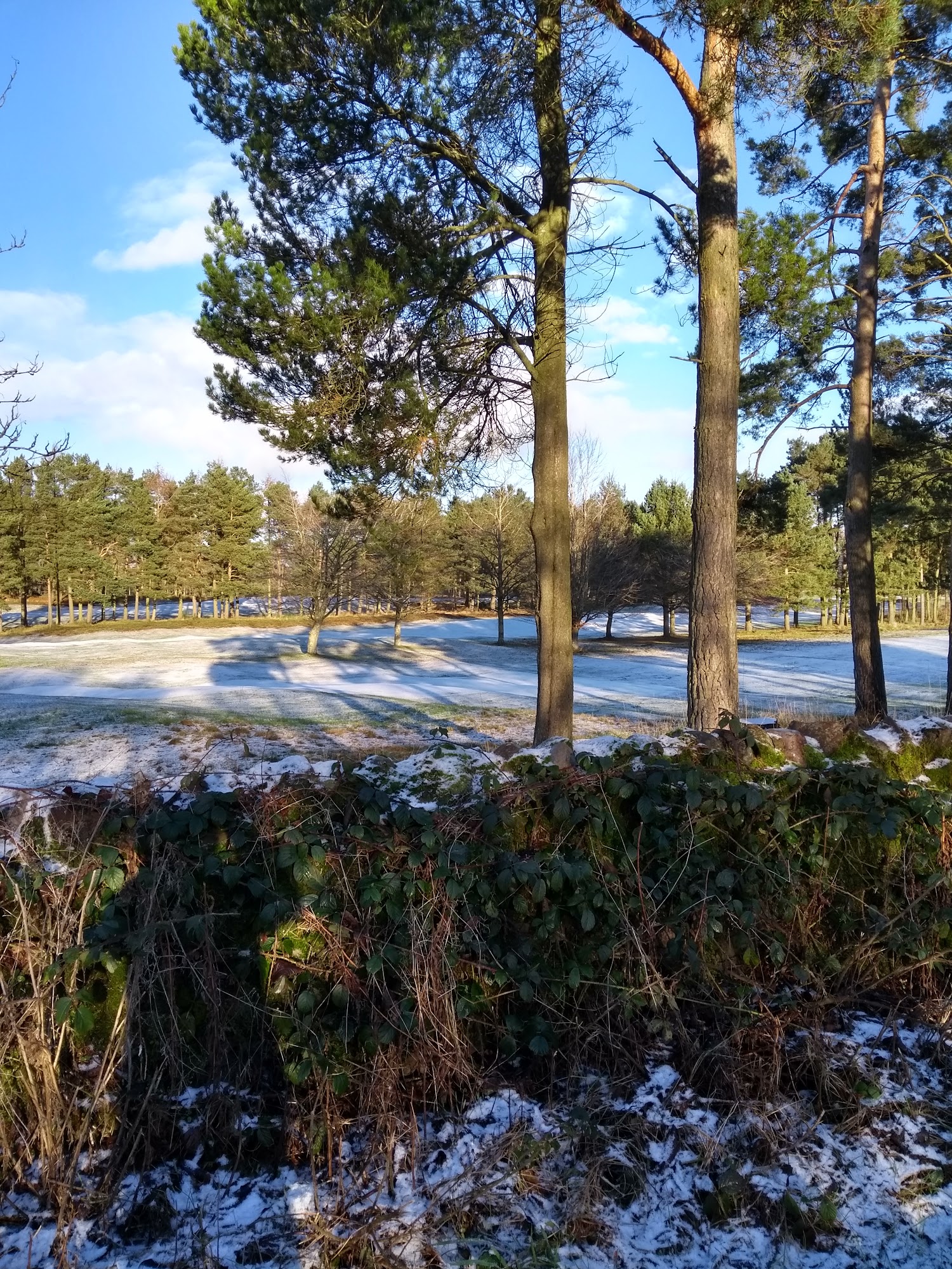 Forfar Golf Club