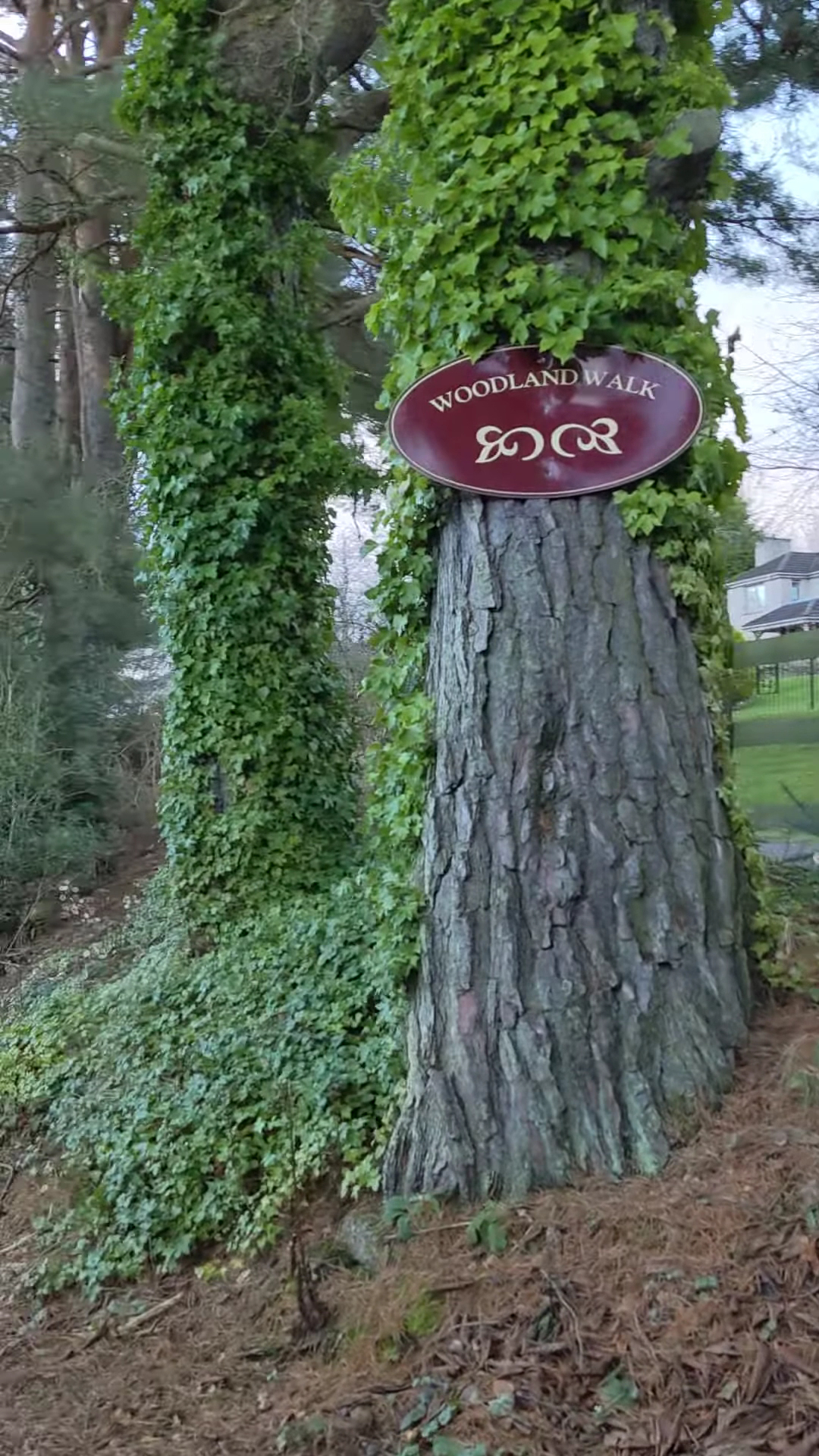 Oldtown of Leys Garden