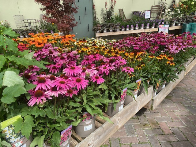 Howdens Garden Centre