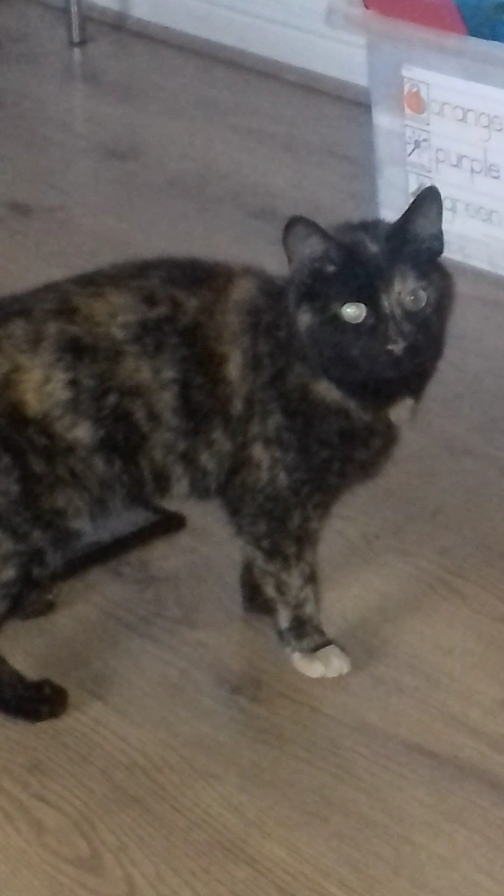 The Railway Inn Calderbank, Airdrie