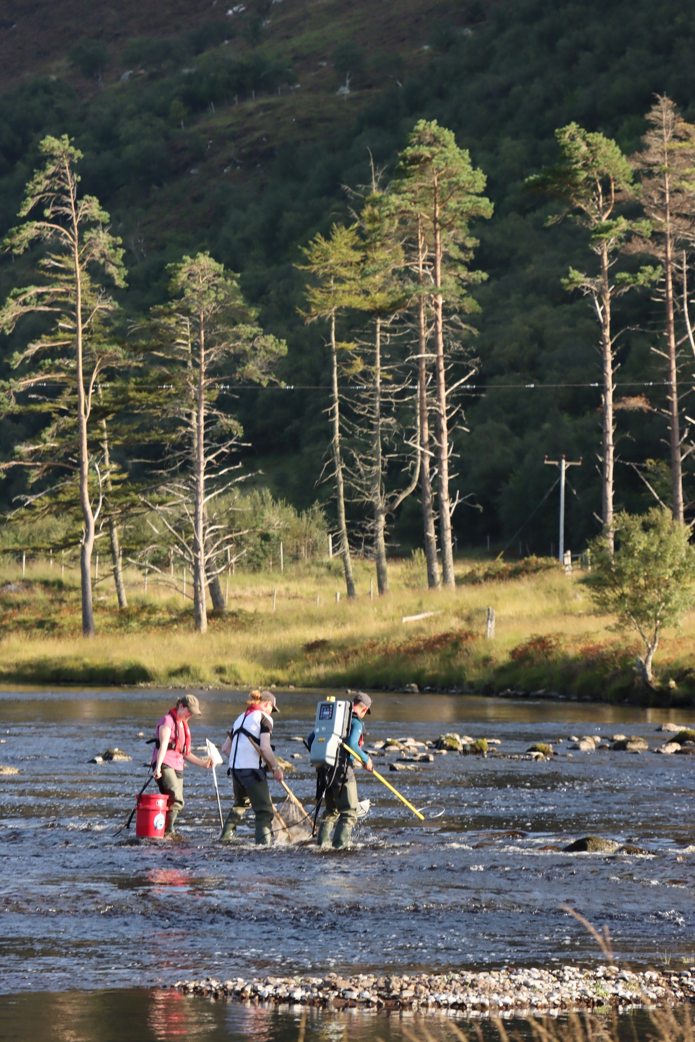 Atlantic Salmon Trust