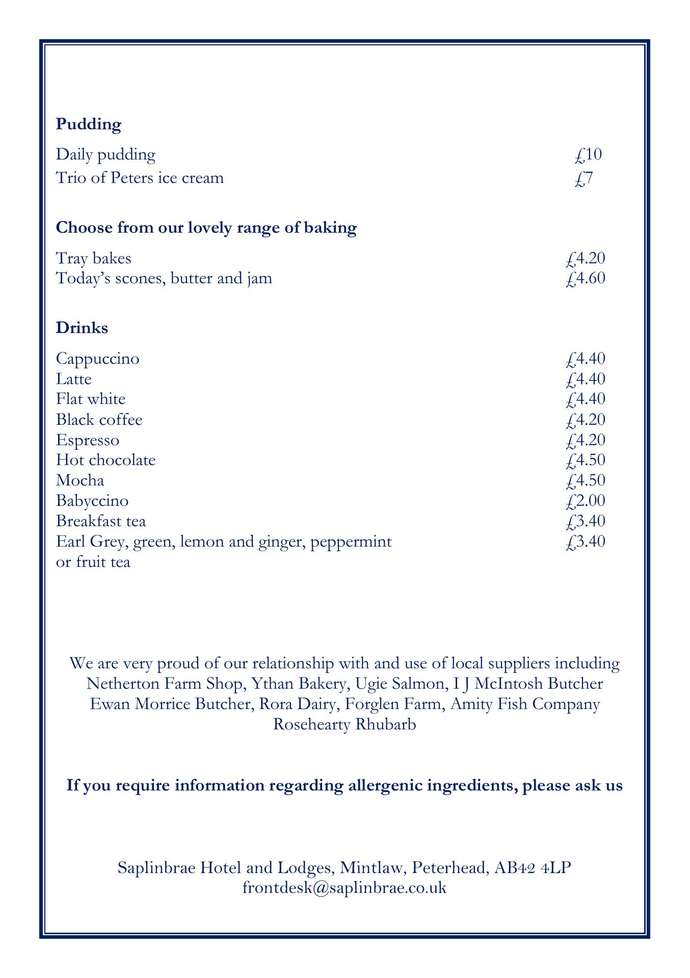 Saplinbrae Hotel and Lodges