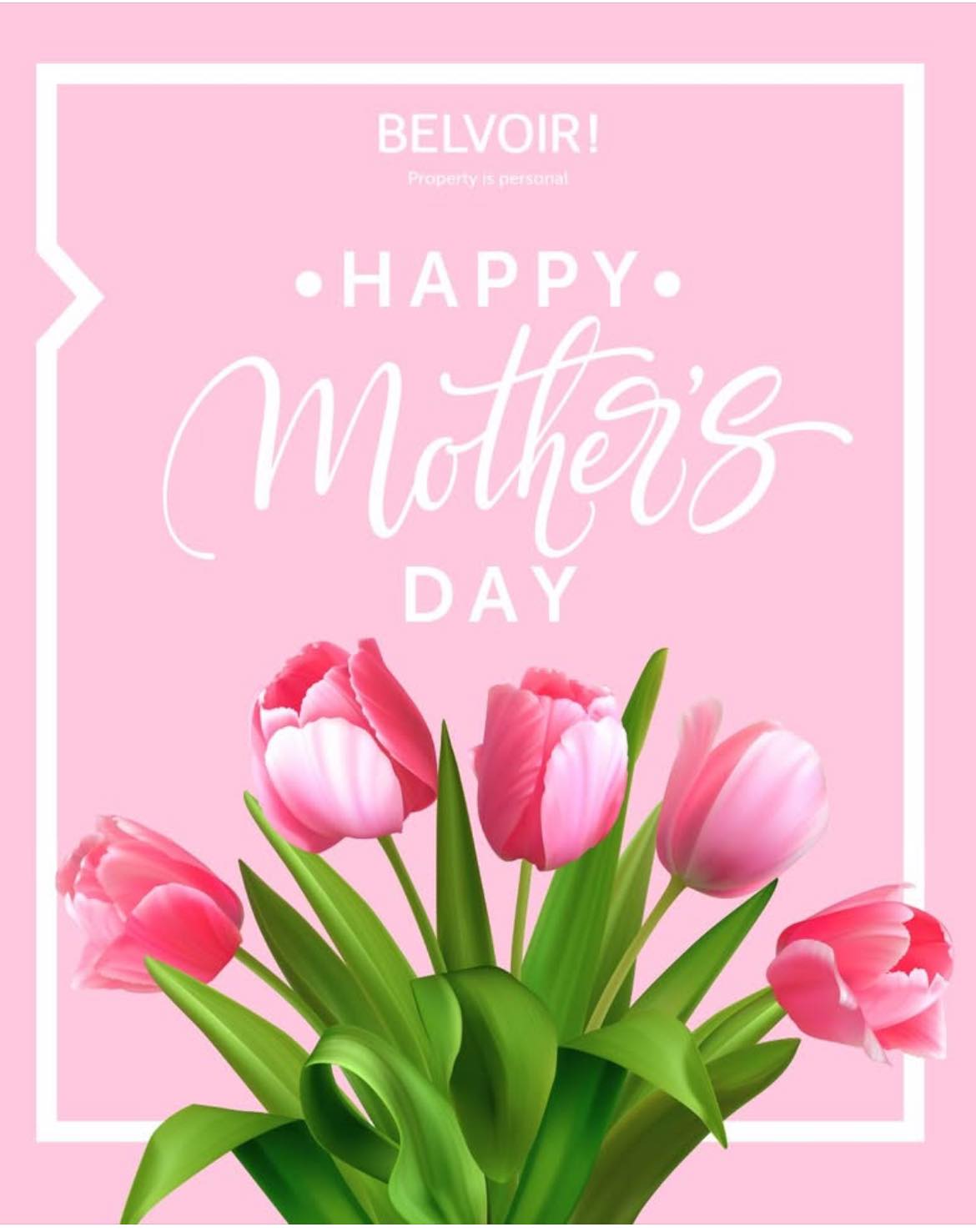 Belvoir Sales & Lettings