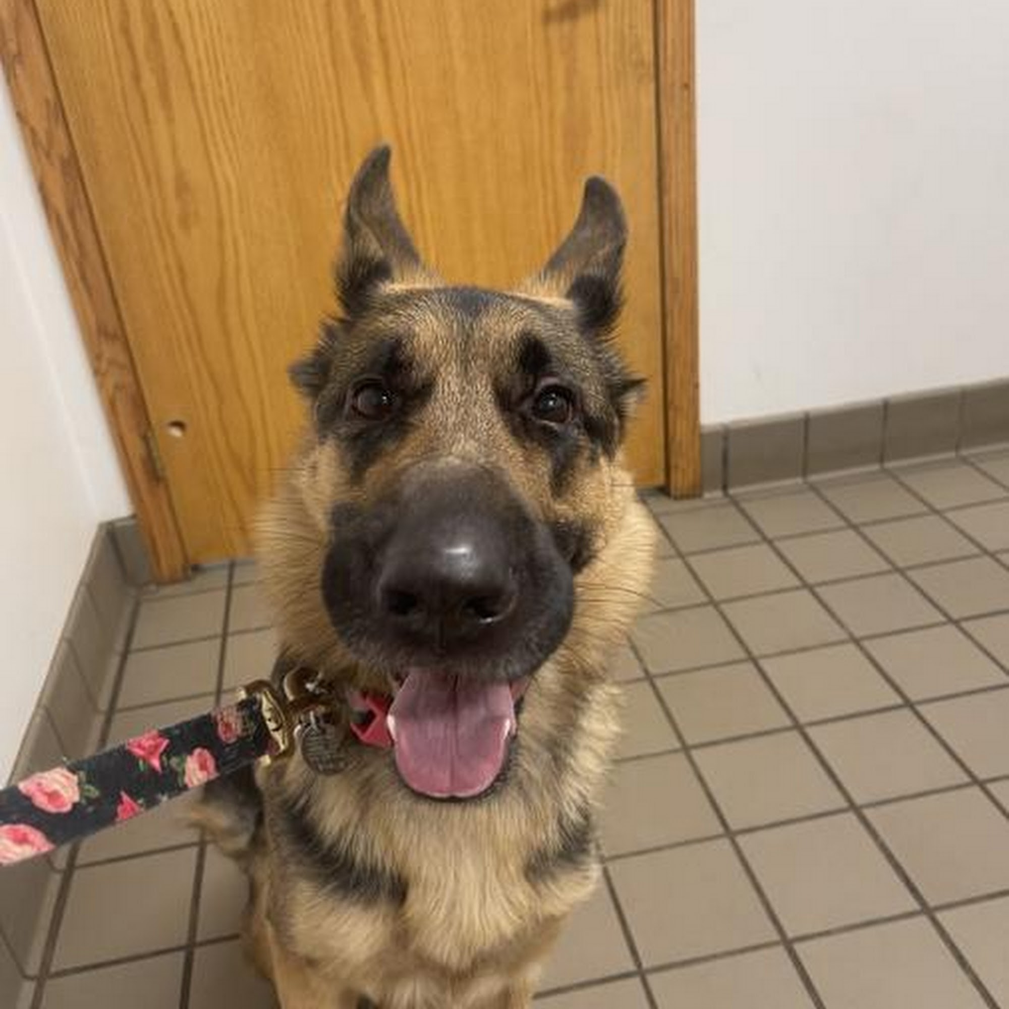 Dakota Large Animal Clinic Harrisburg