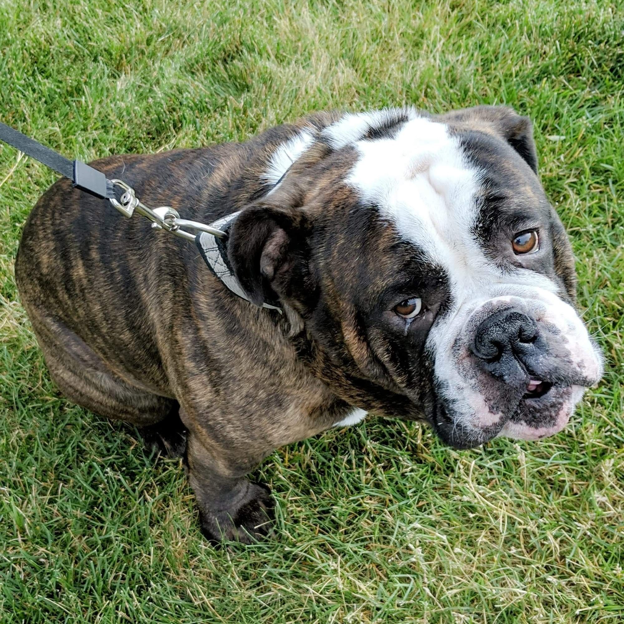 James Valley Veterinary Clinic Huron