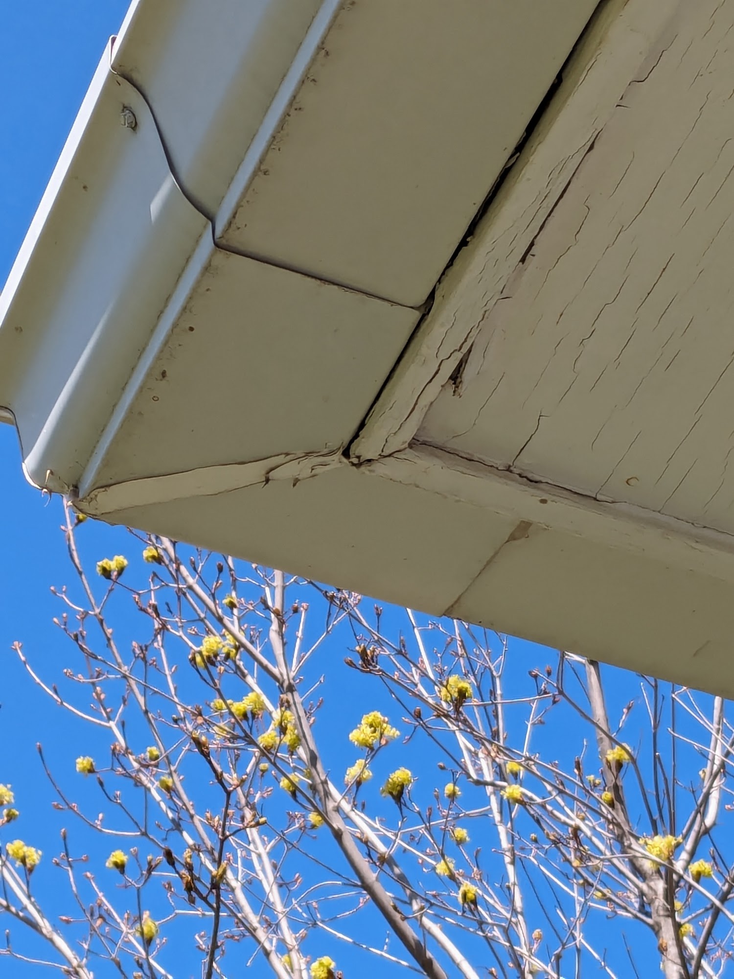 G & S Siding & General Contractor