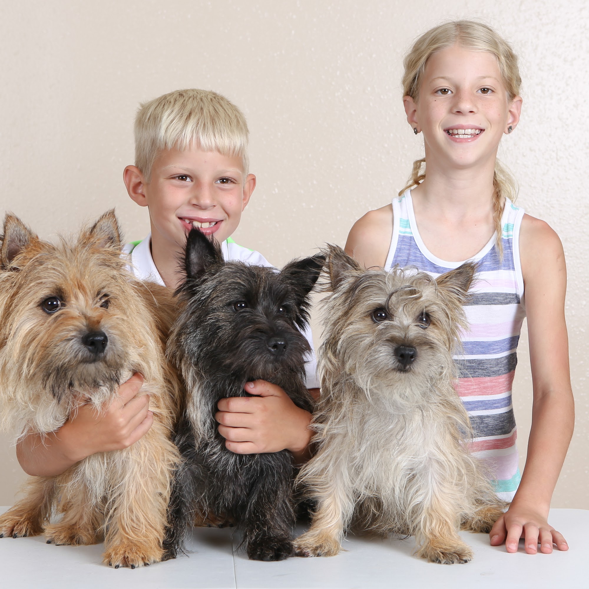 Countryside Kennels Madison