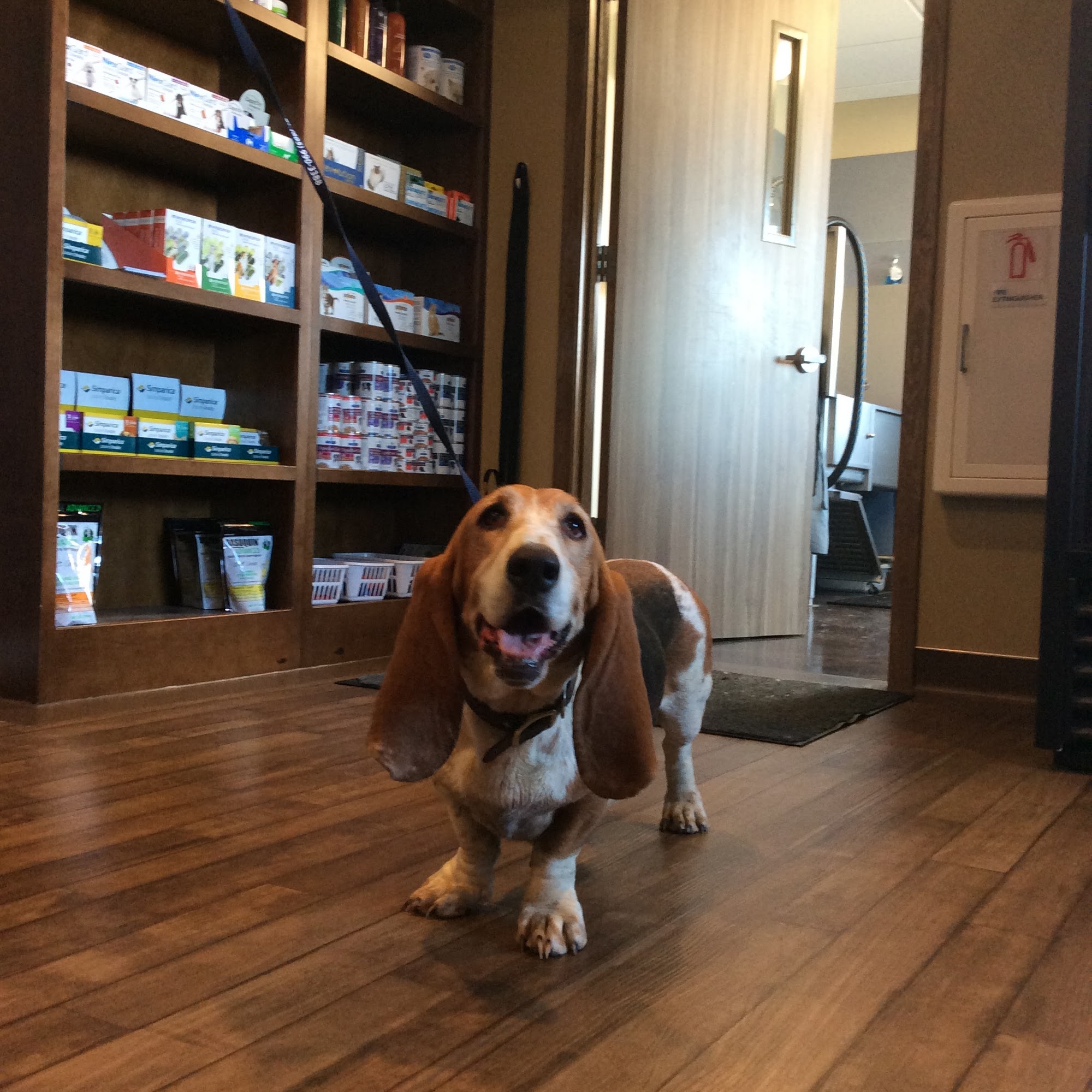 Creekside Veterinary Clinic Mitchell