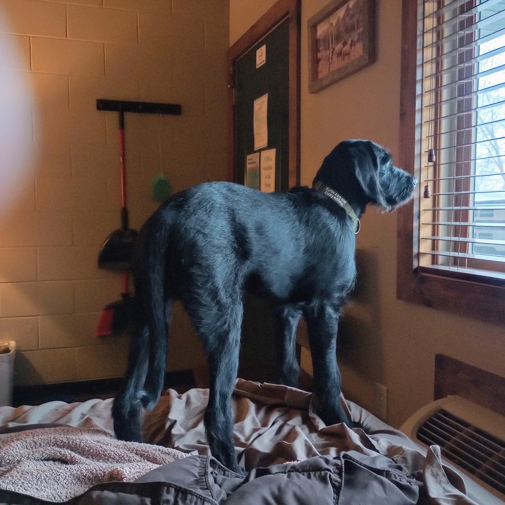 Lakeview Veterinary Clinic Mitchell