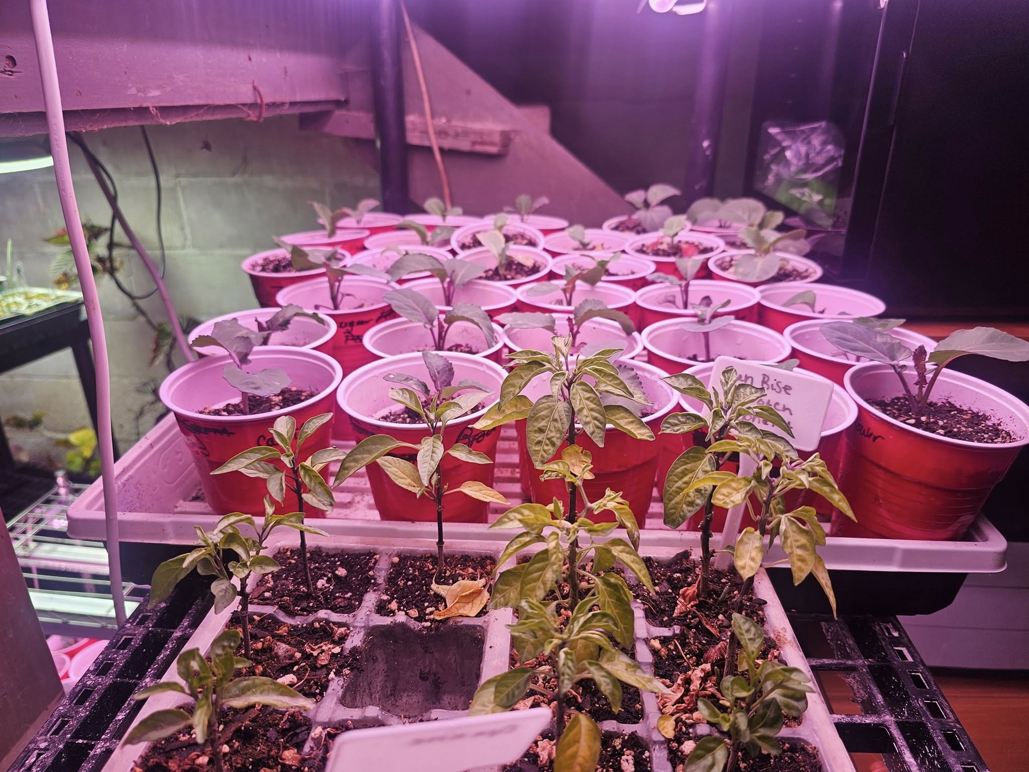 Heweys Produce and More Parkston