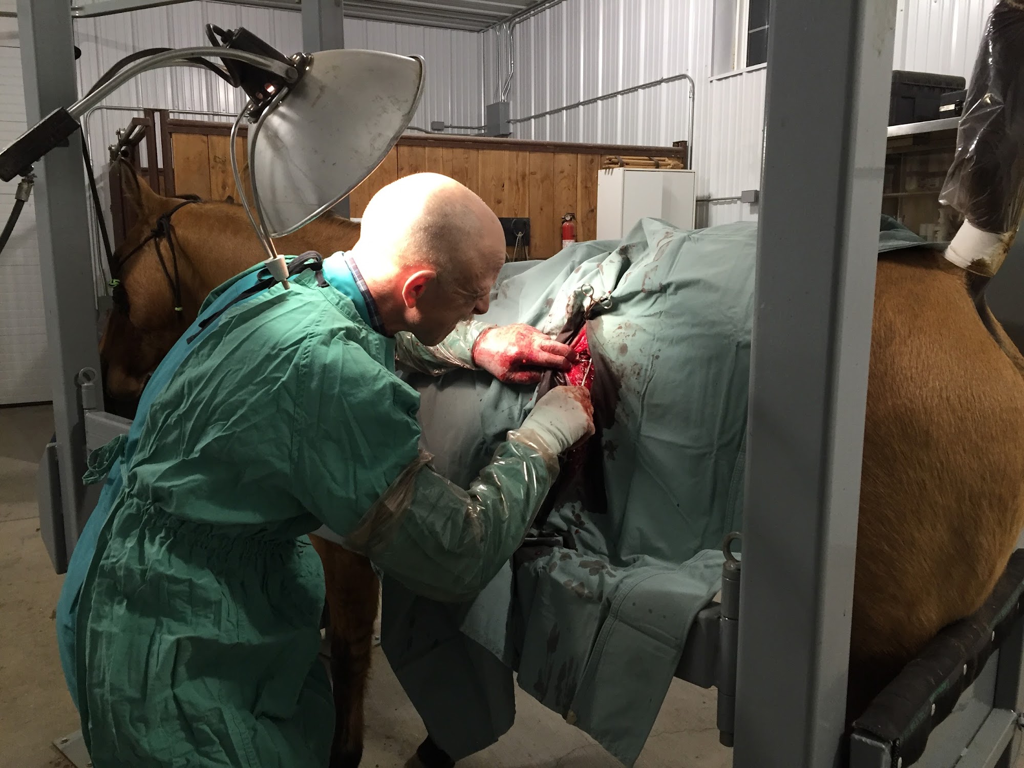 Central Dakota Animal Clinic Platte