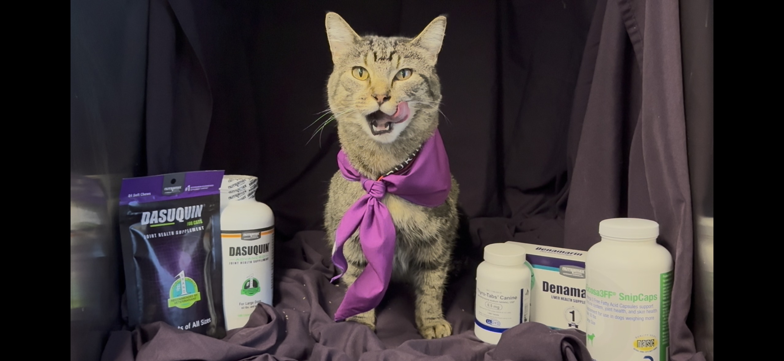 East River Veterinary Clinic, LLC Platte