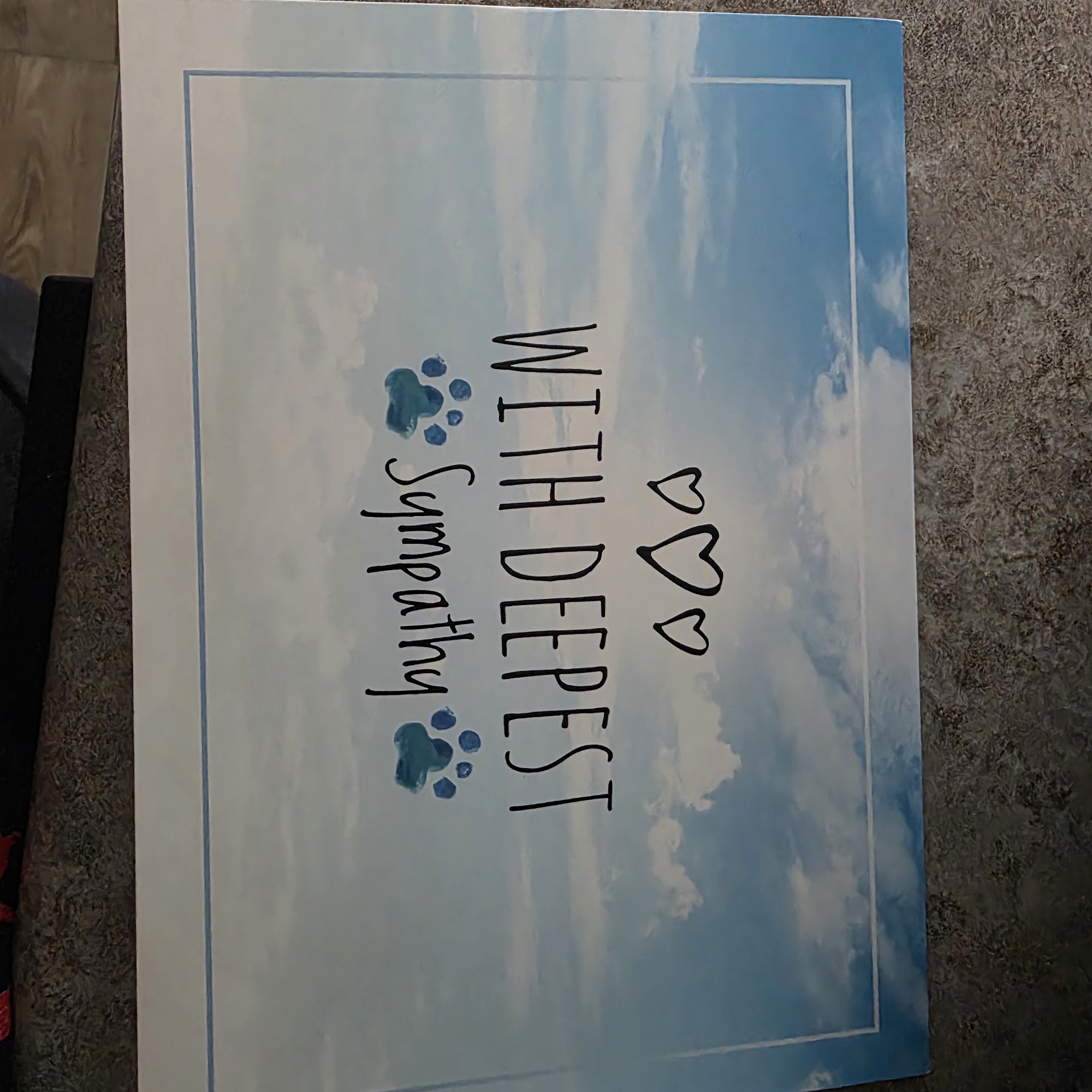 Animal Clinic of Rapid City Rapid City