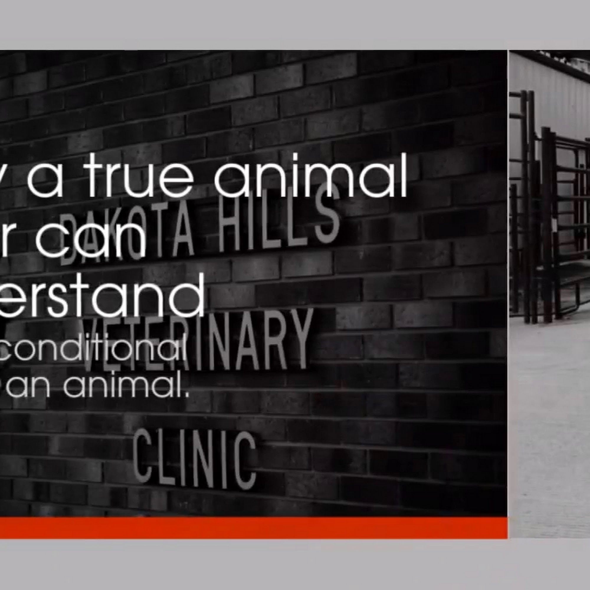 Dakota Hills Veterinary Clinic Rapid City