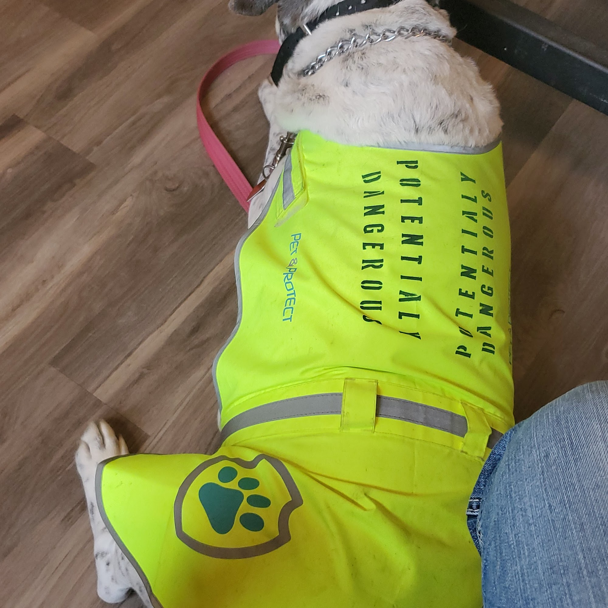 Noah's Ark Animal Hospital, LLC Rapid City