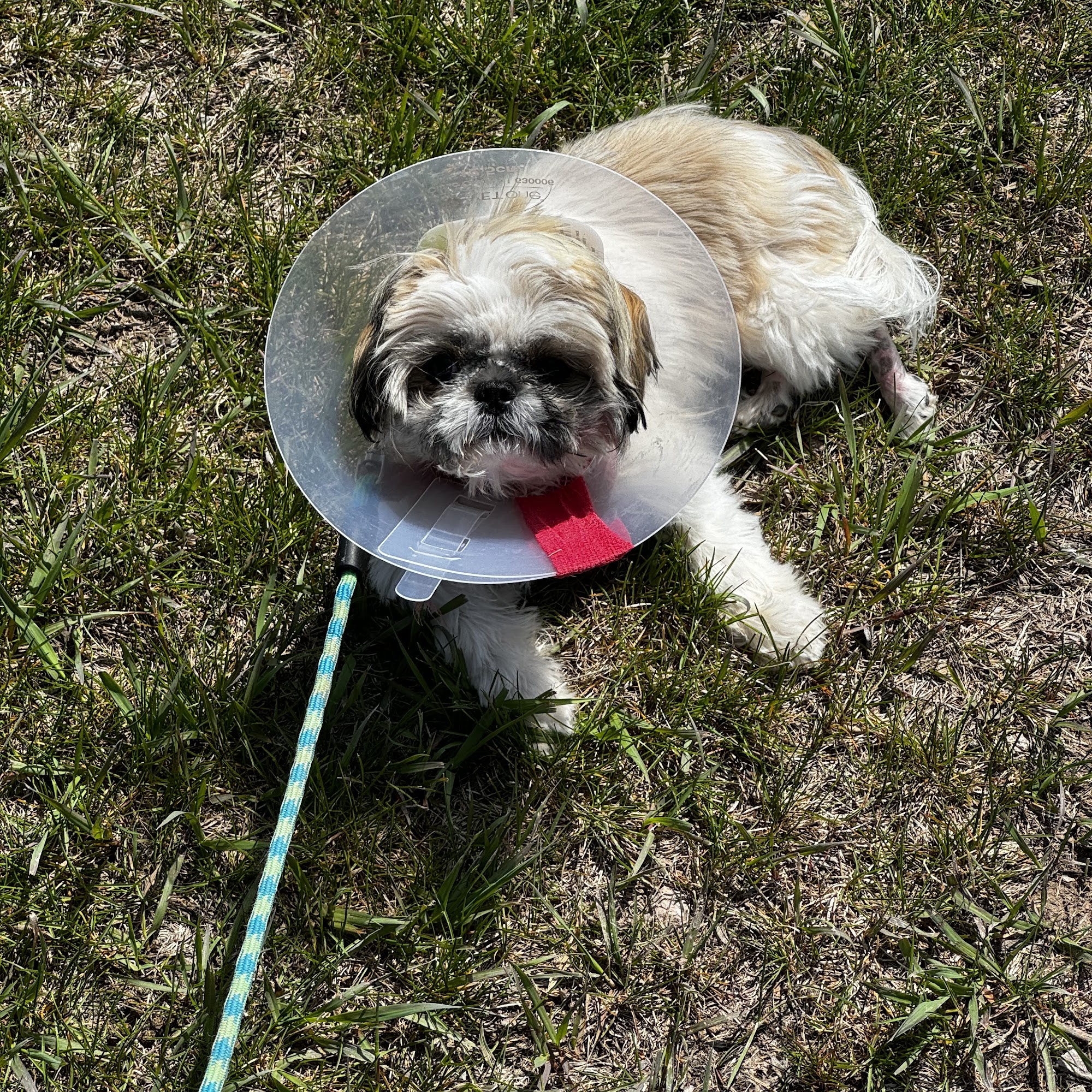 Autumn Hills Veterinary Hospital Rapid City