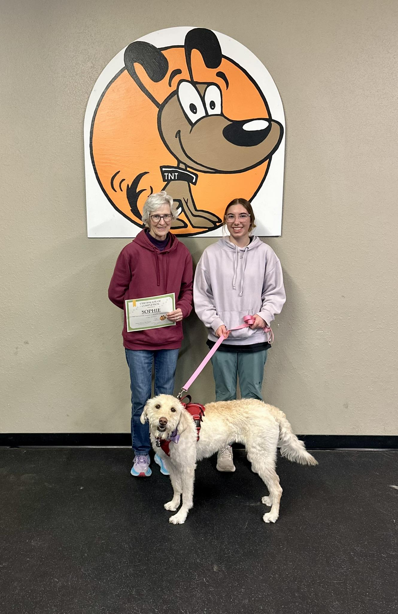 Tails 'n Training Rapid City