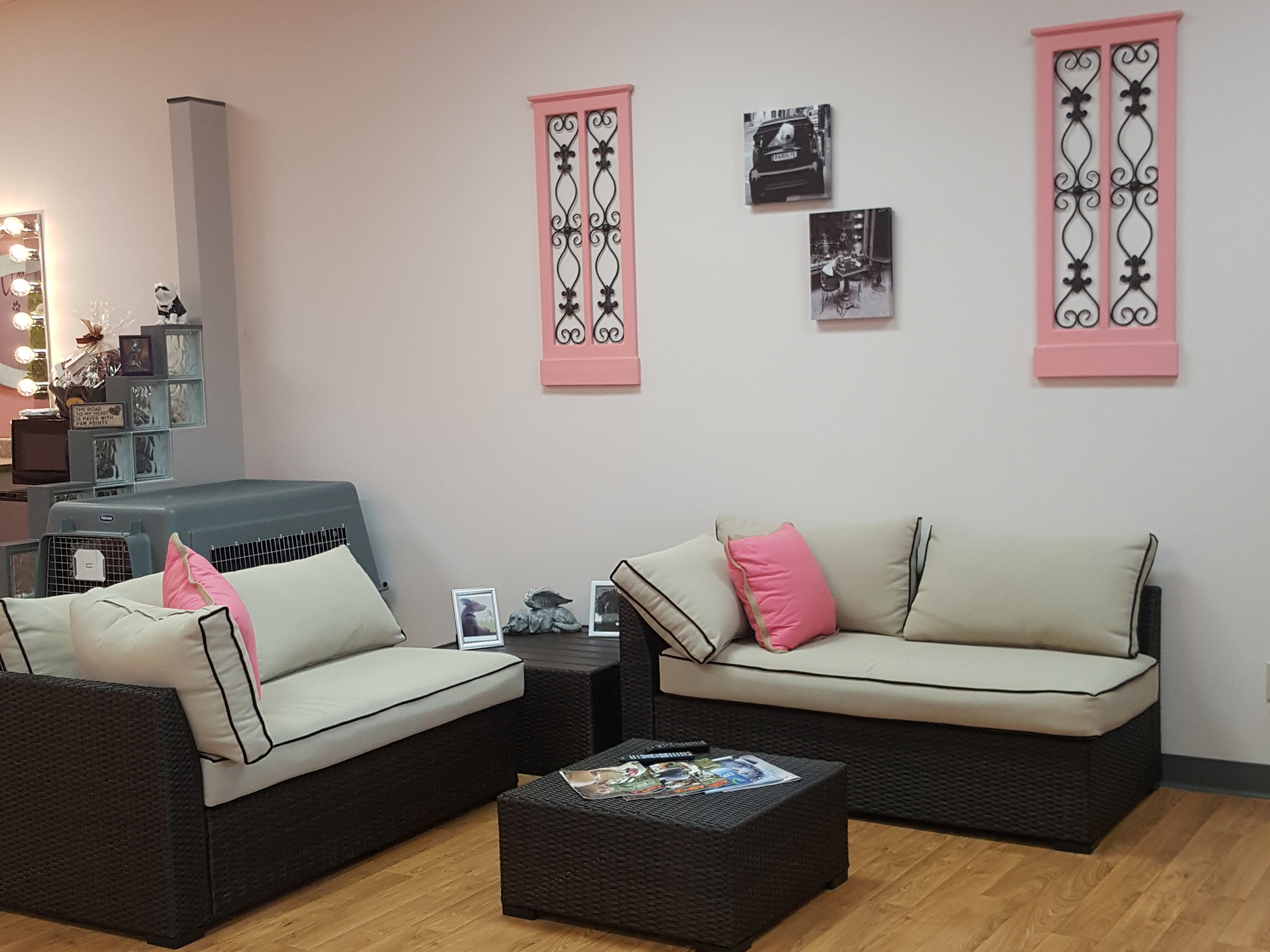 Classy Canine Pet Grooming Rapid City