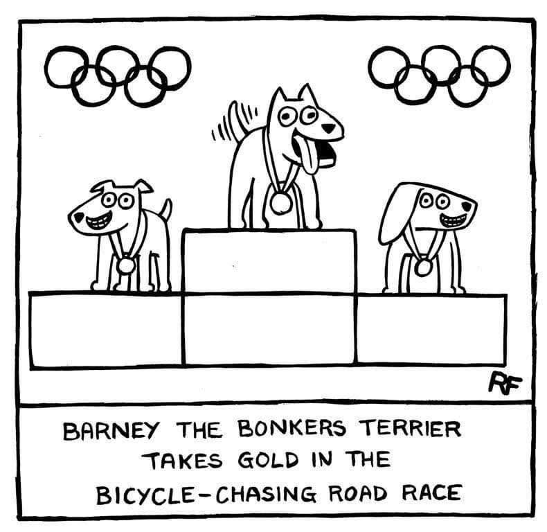 RyeDoodle Boarding & Training Rapid City